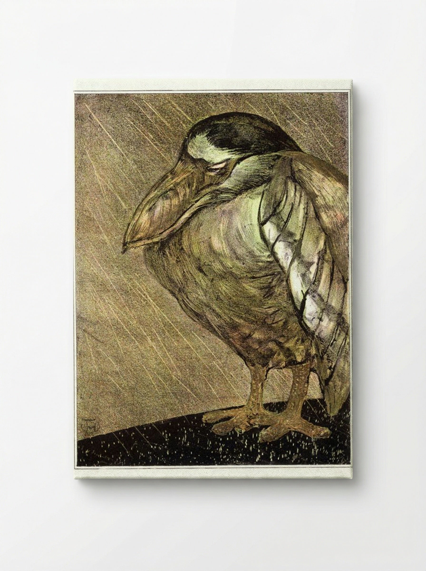 Schuitbekreiger in de regen (Night Heron in the Rain) - Theodorus van Hoytema - Canvas