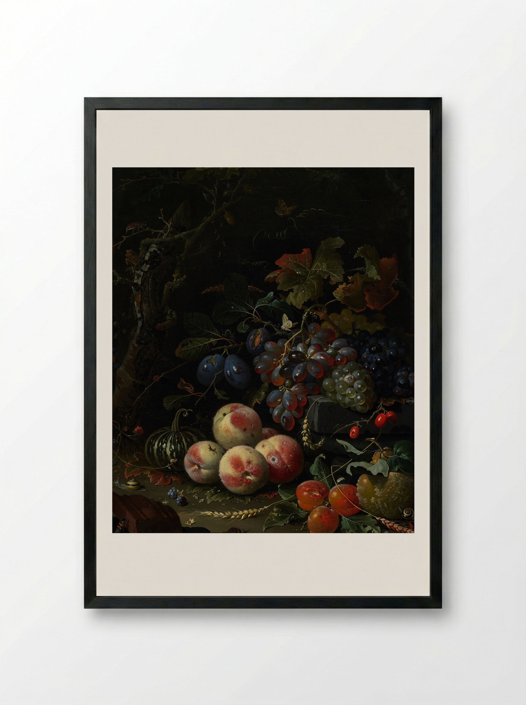 Still Life with Fruit, Foliage, and Insects - Abraham Mignon - Framed Print Black
