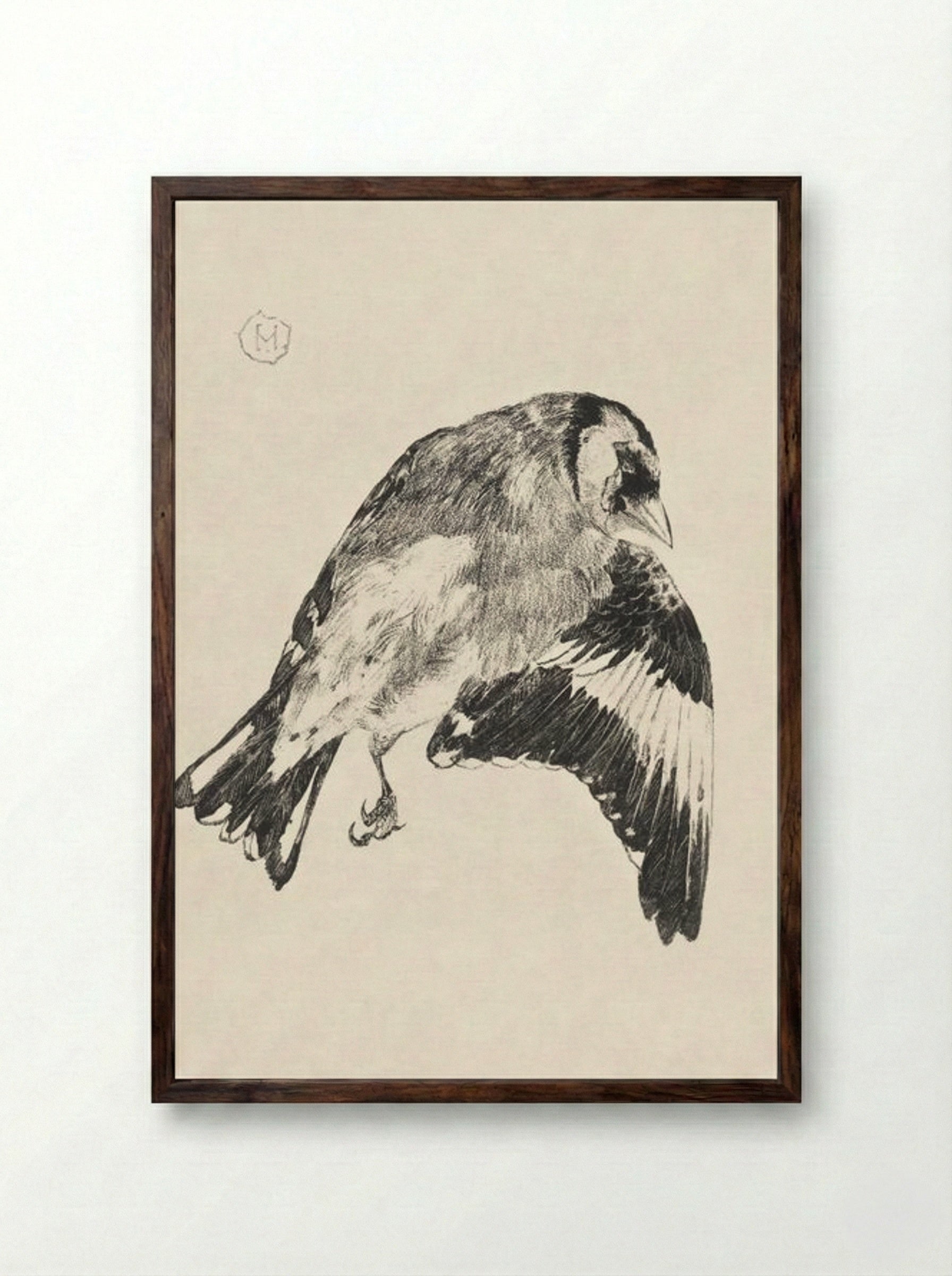 Goldfinch (Study of a Bird in Flight) - Theo van Hoytema - Framed Print Dark Wood