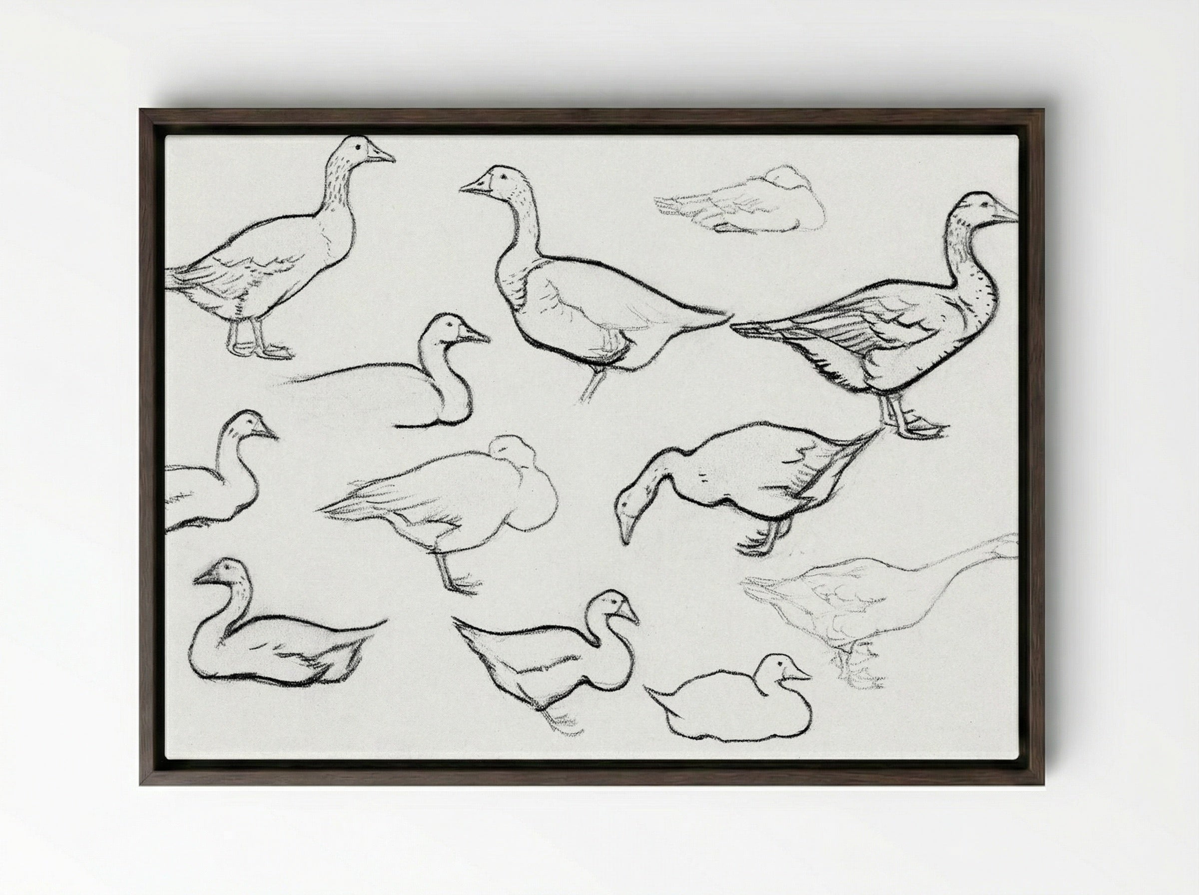 Study of Geese - Julie de Graag - Framed Canvas Dark Wood