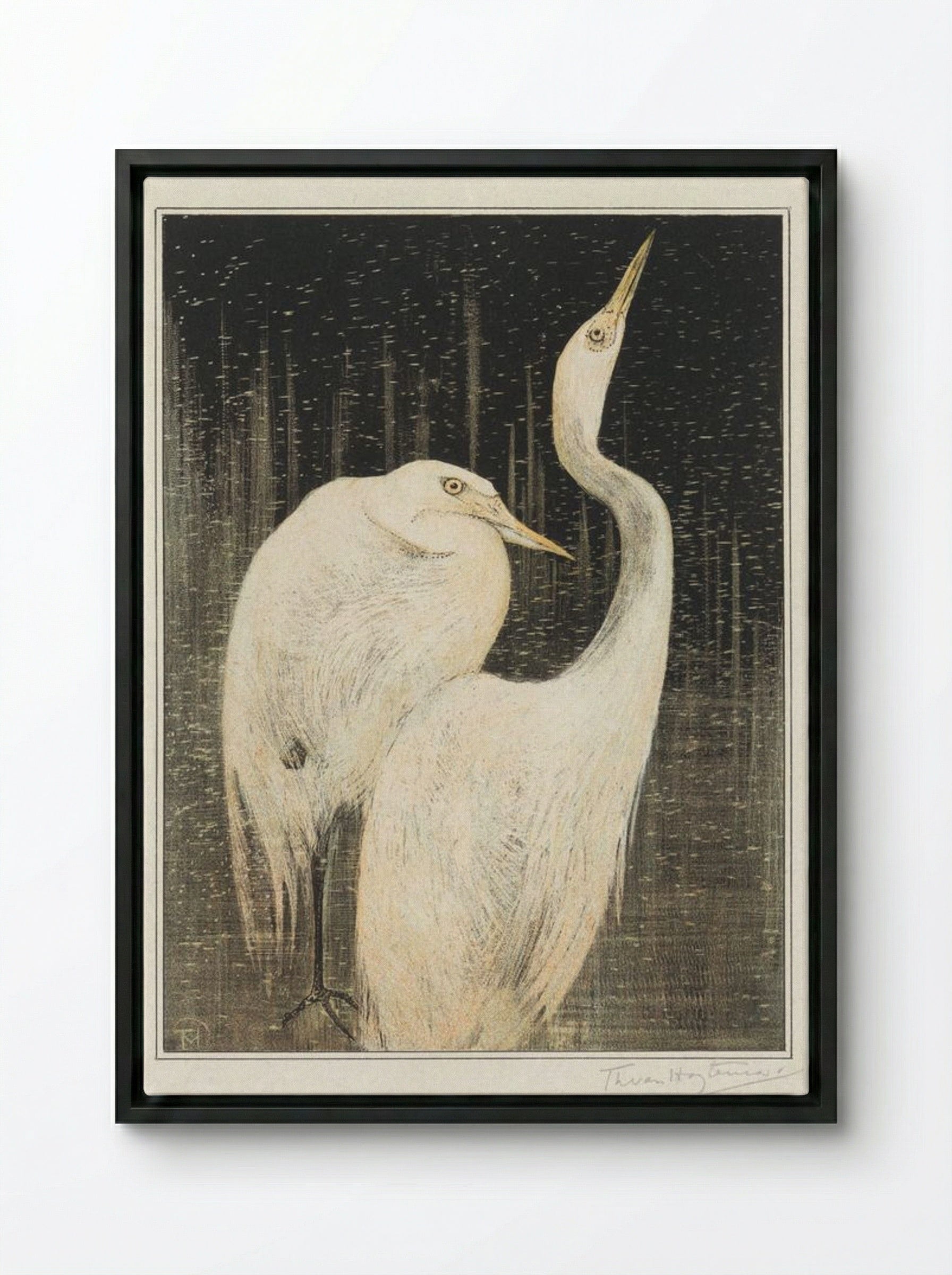 Two Egrets - Theo van Hoytema - Framed Canvas Black