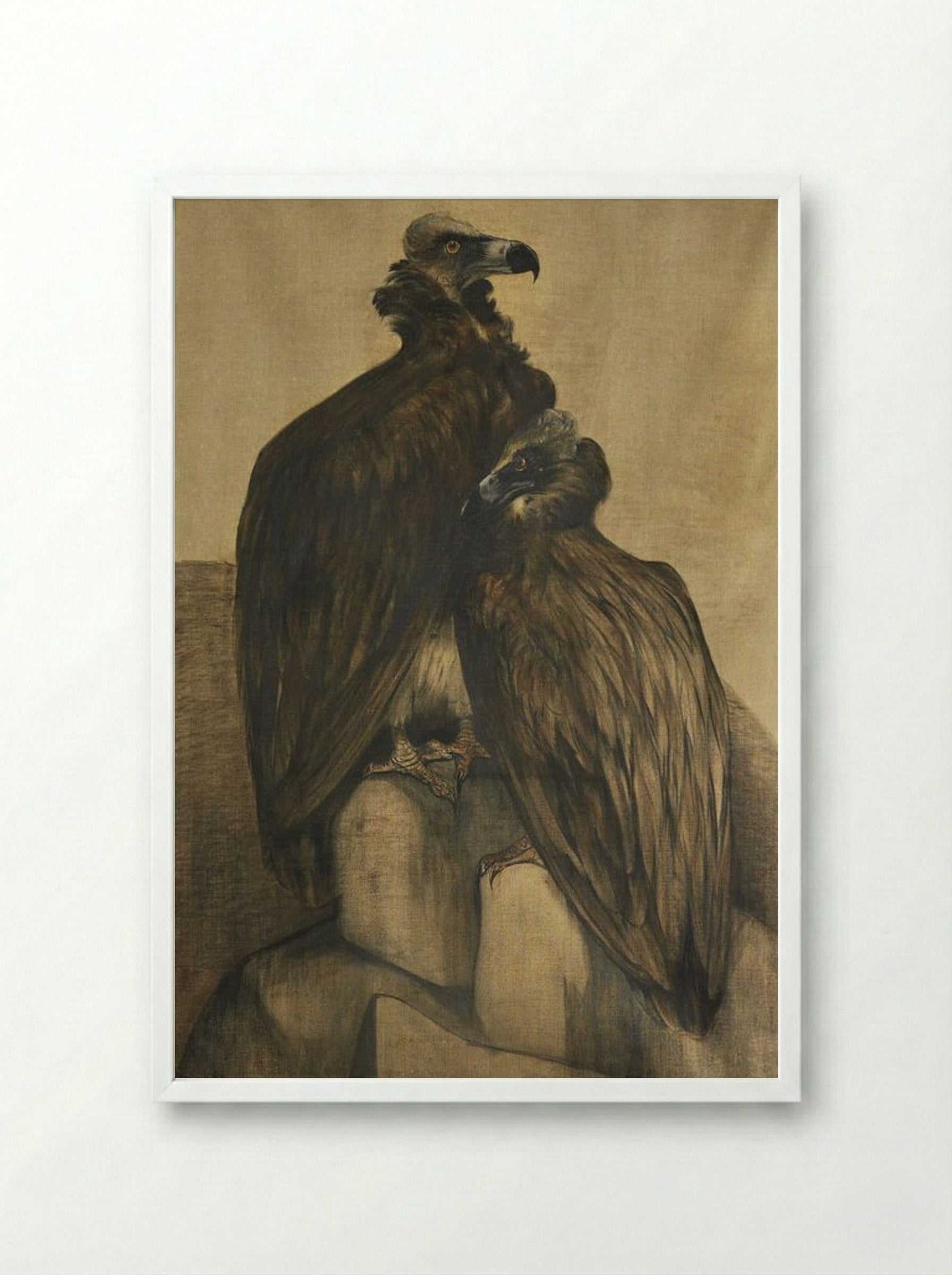 Two Arabian Vultures - Theo van Hoytema - Framed Print White
