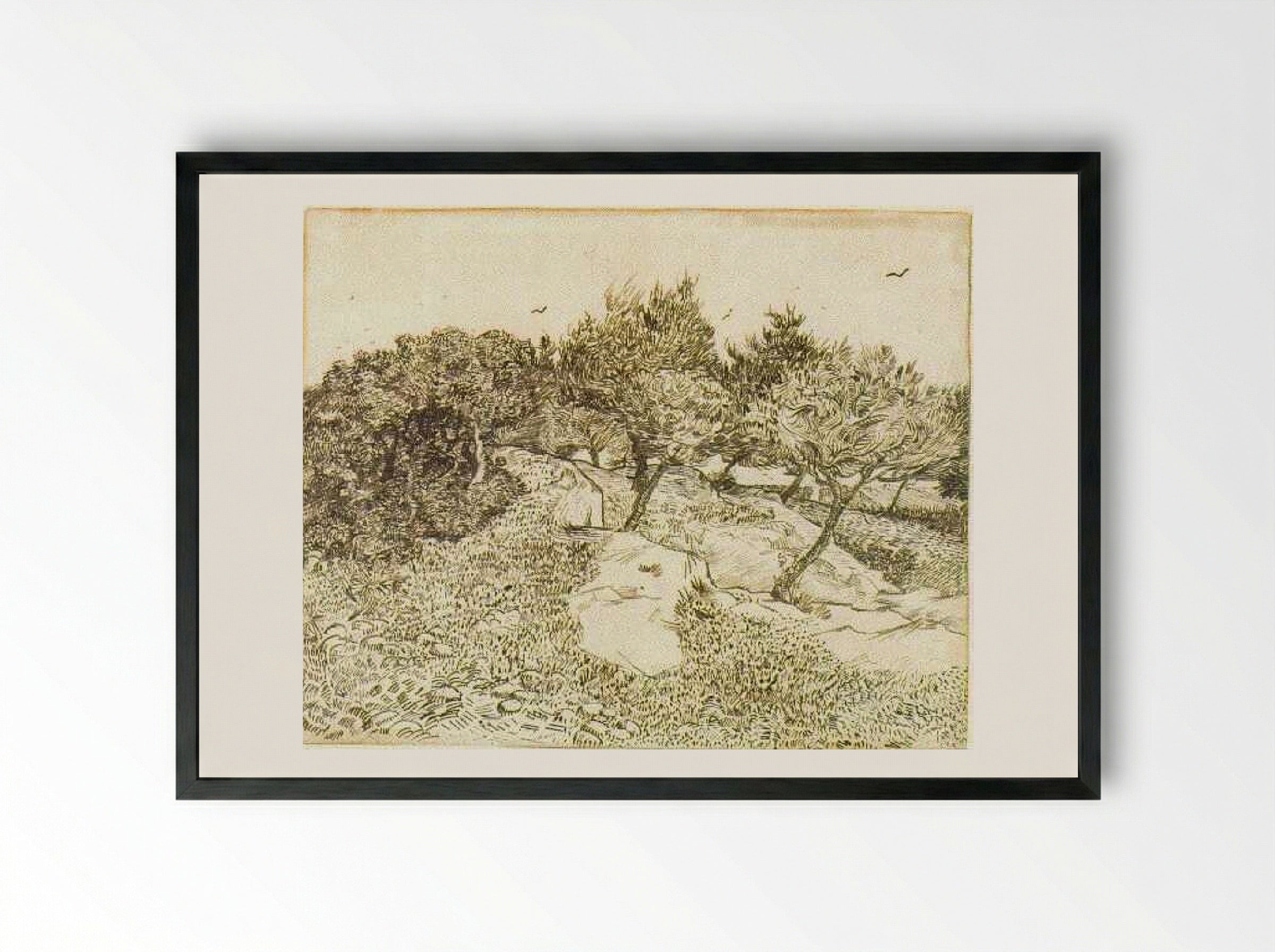 The Olive Trees - Vincent van Gogh - Framed Print Black