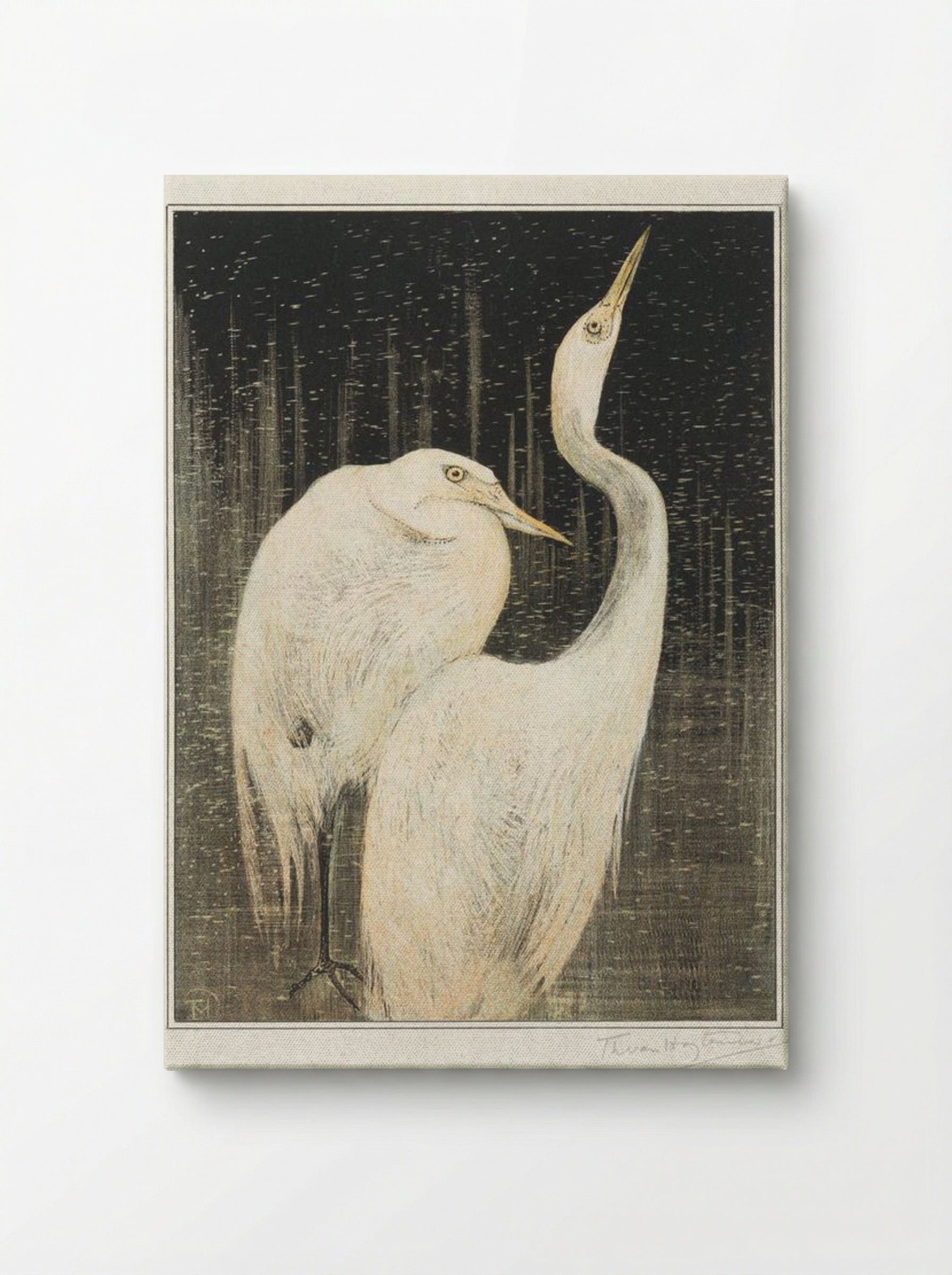Two Egrets - Theo van Hoytema - Canvas
