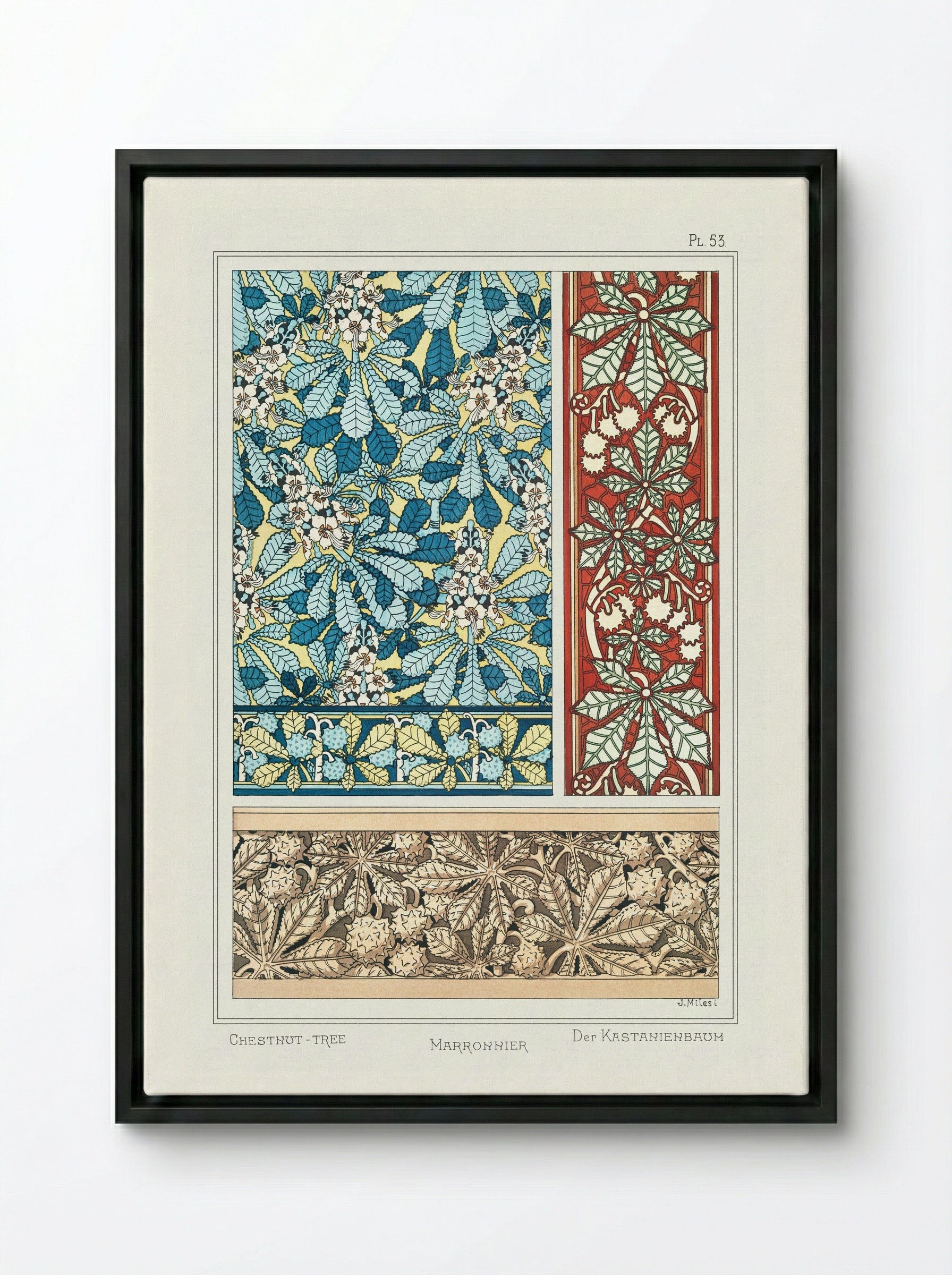 Marronnier (Chestnut Tree) from La Plante et ses Applications ornementales - Maurice Pillard Verneuil - Framed Canvas Black
