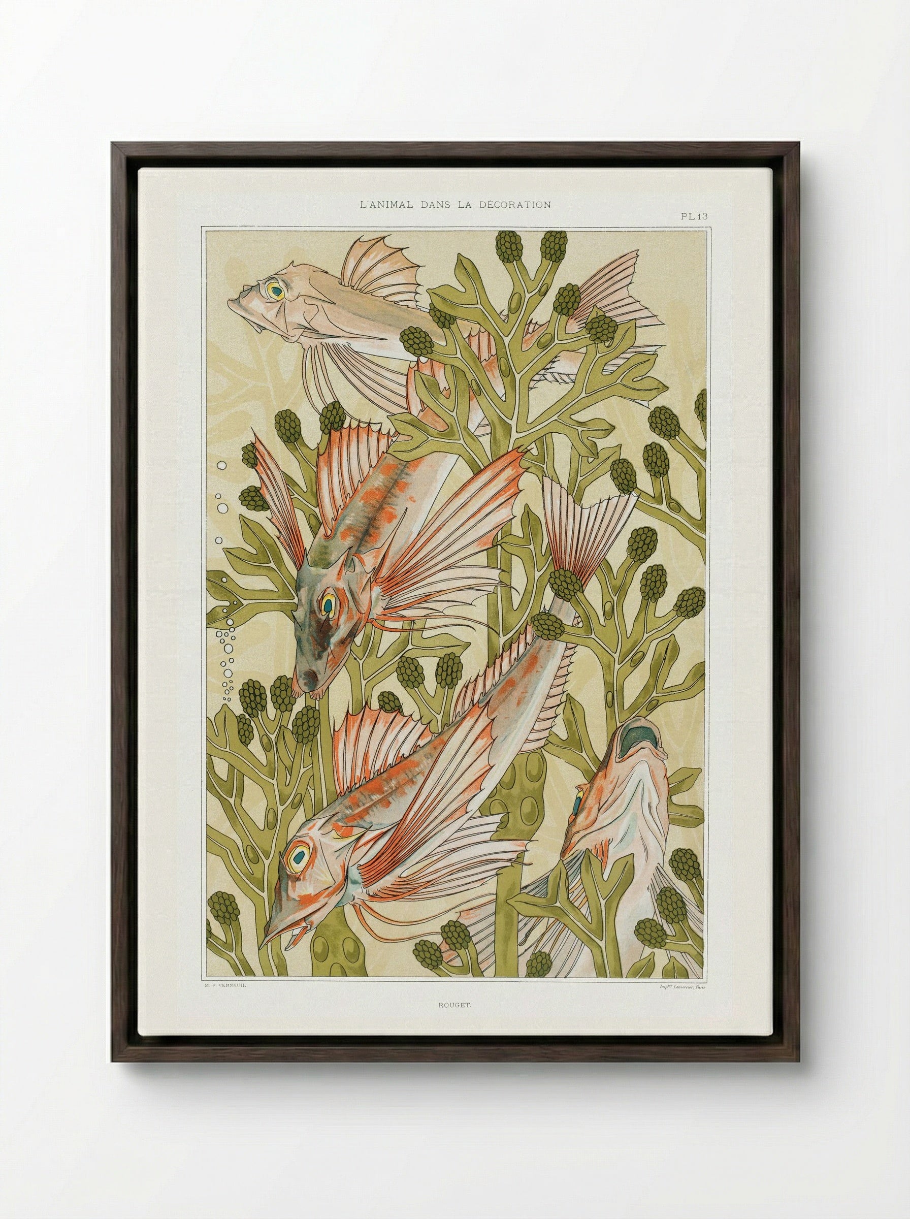 Rouget (From L'animal dans la décoration) - Maurice Pillard Verneuil - Framed Canvas Dark Wood