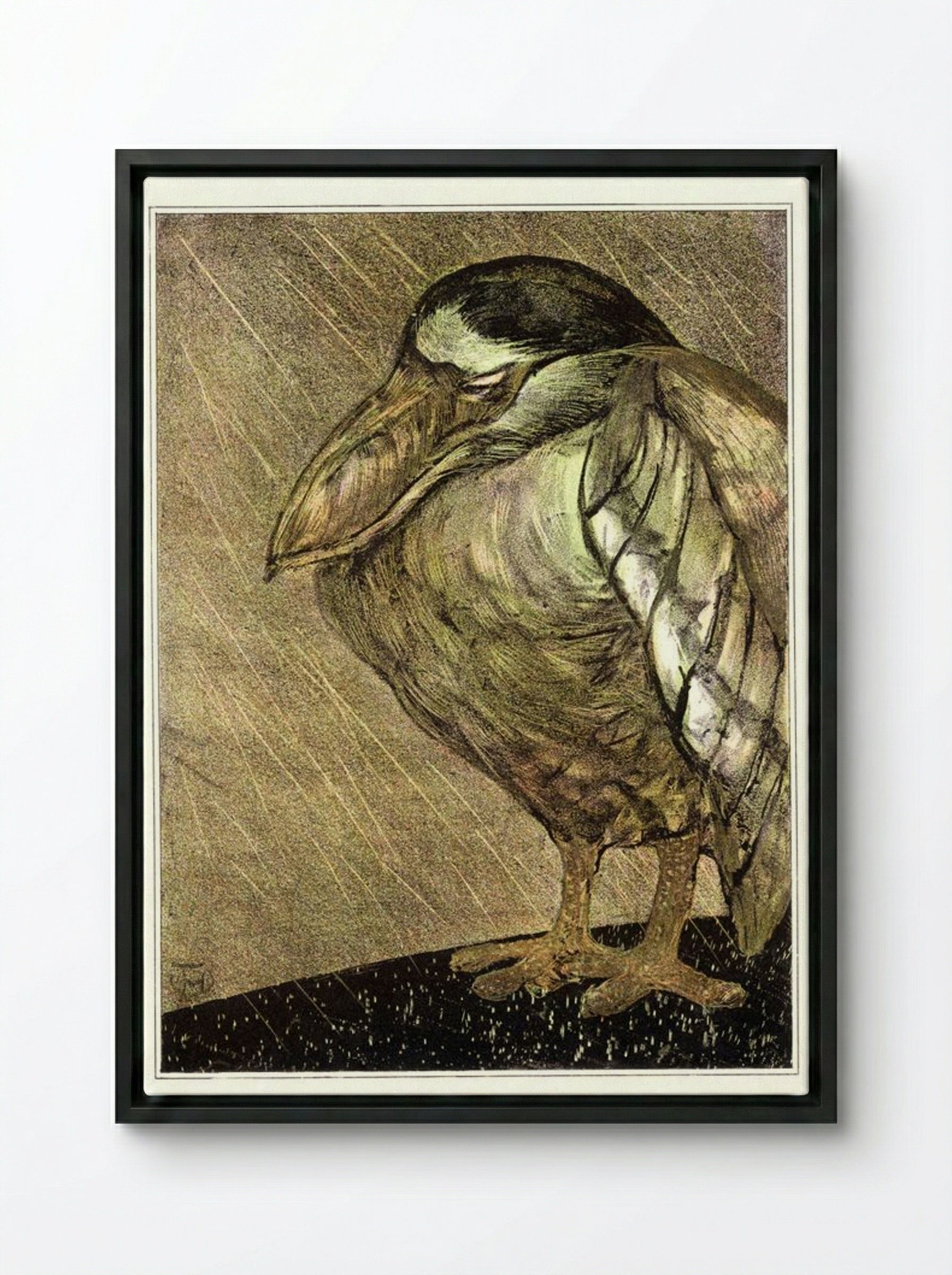 Schuitbekreiger in de regen (Night Heron in the Rain) - Theodorus van Hoytema - Framed Canvas Black