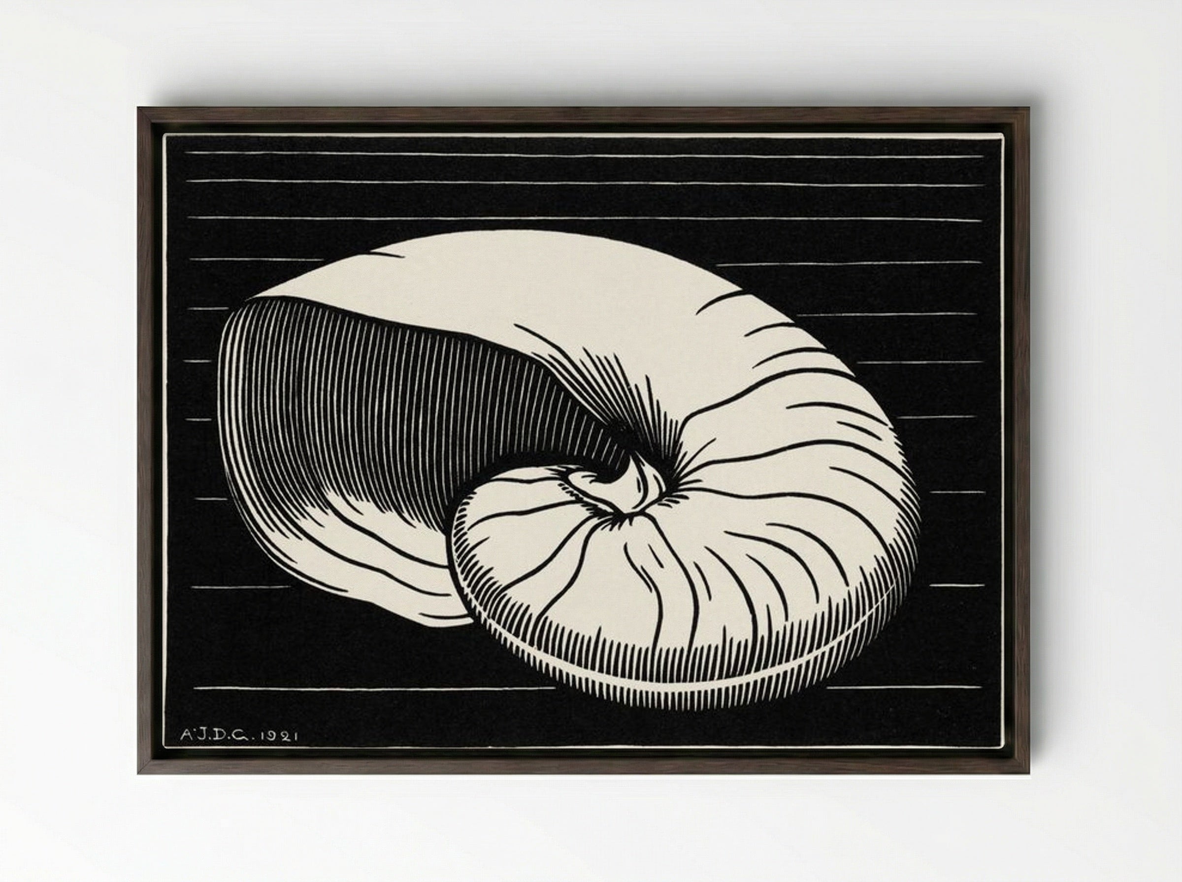 Shell - Julie de Graag - Framed Canvas Dark Wood