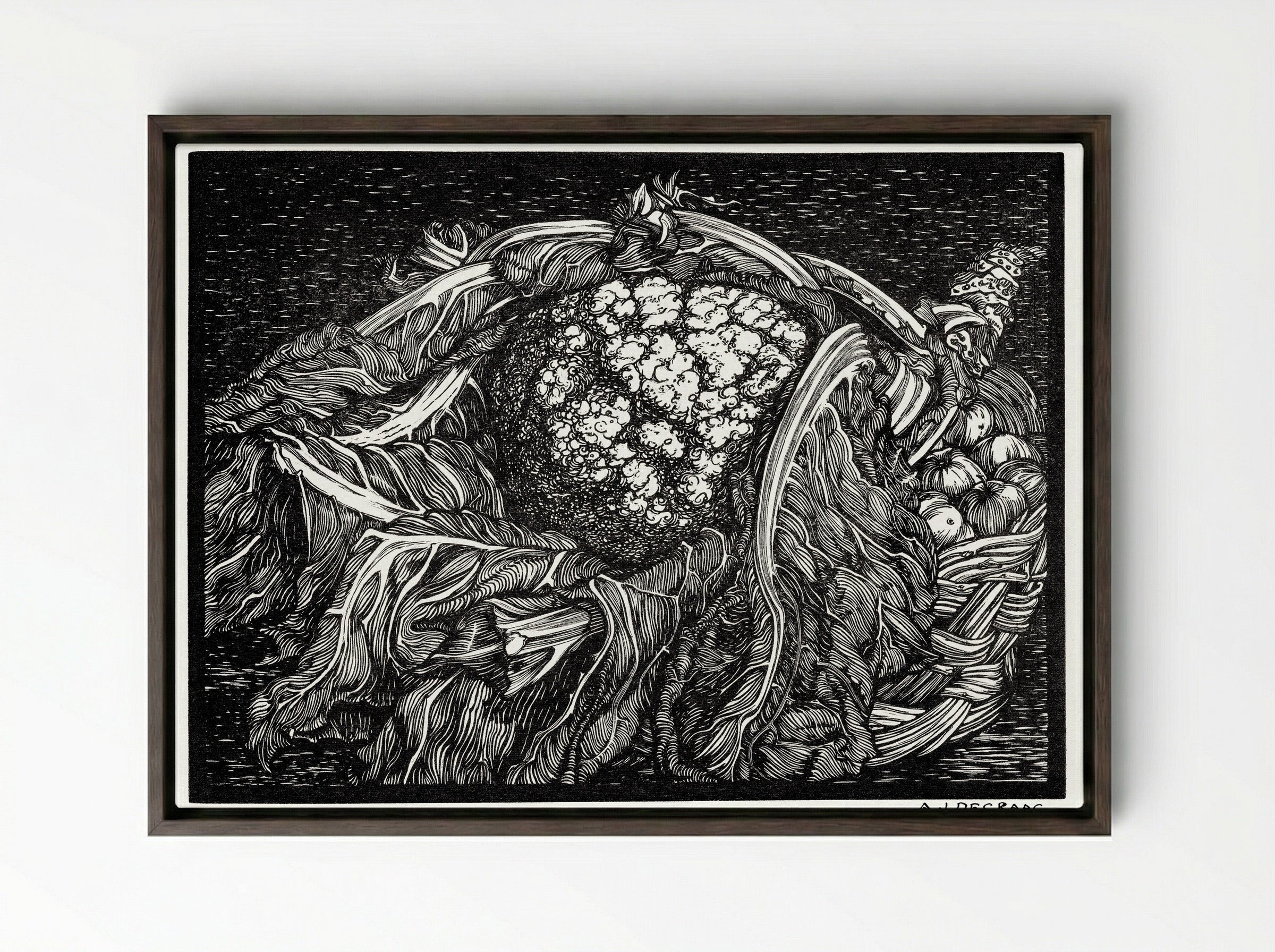 Cauliflower - Julie de Graag - Framed Canvas Dark Wood