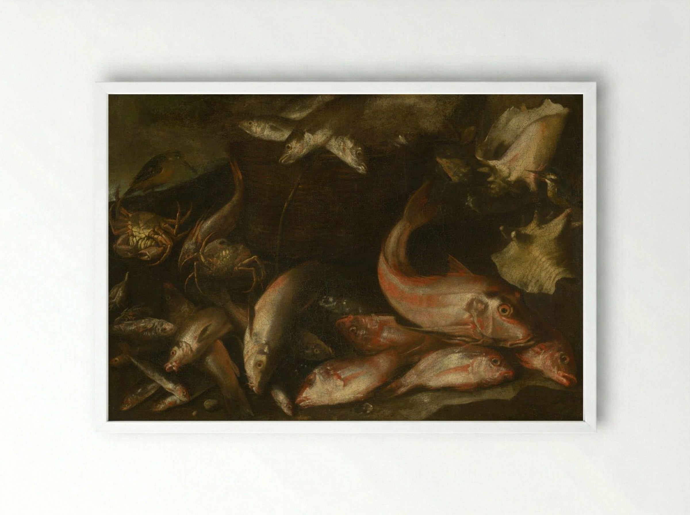 Still Life with Fish, Crabs, and Shells - Fine Art Print - Framed Print White