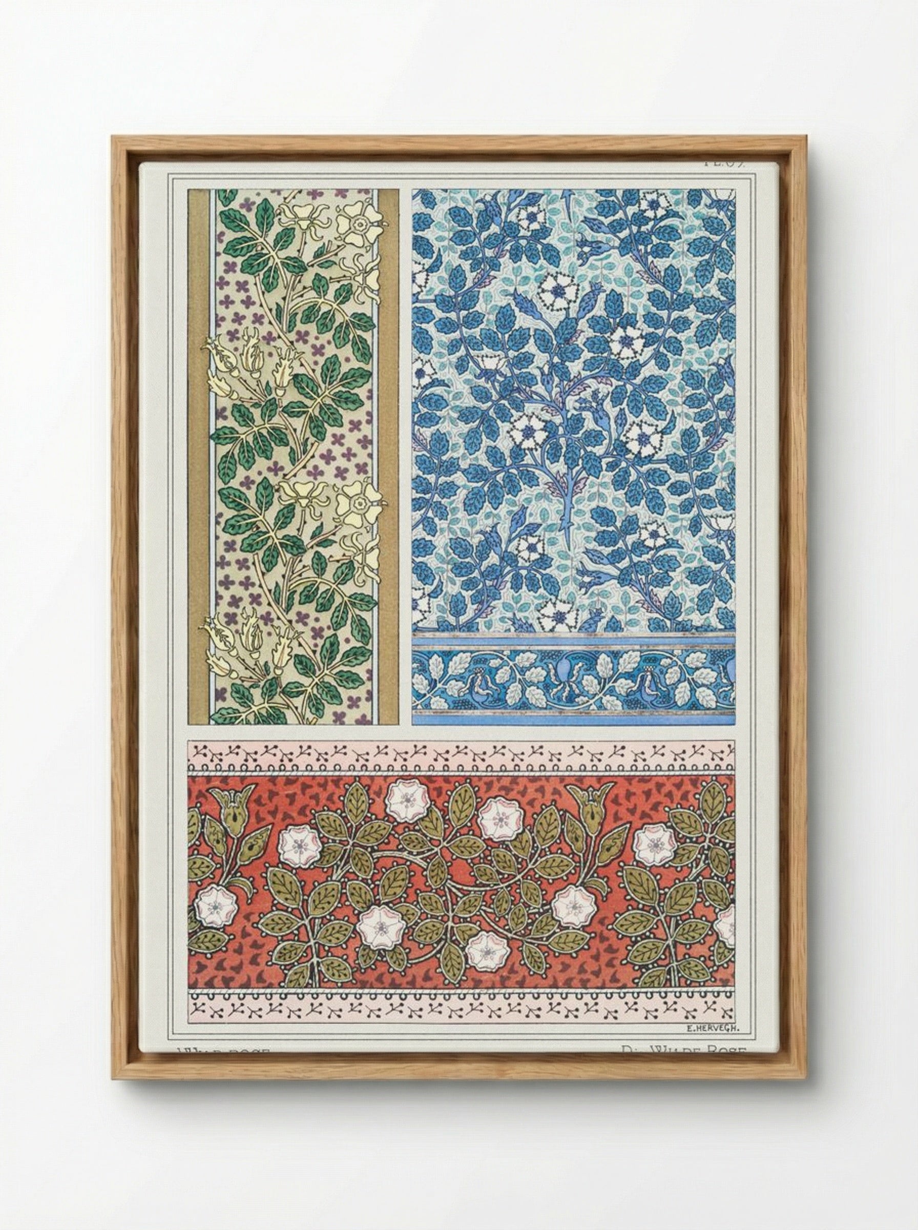 Eglantier (Wild Rose) from La Plante et ses Applications ornementales - Maurice Pillard Verneuil - Framed Canvas Wood