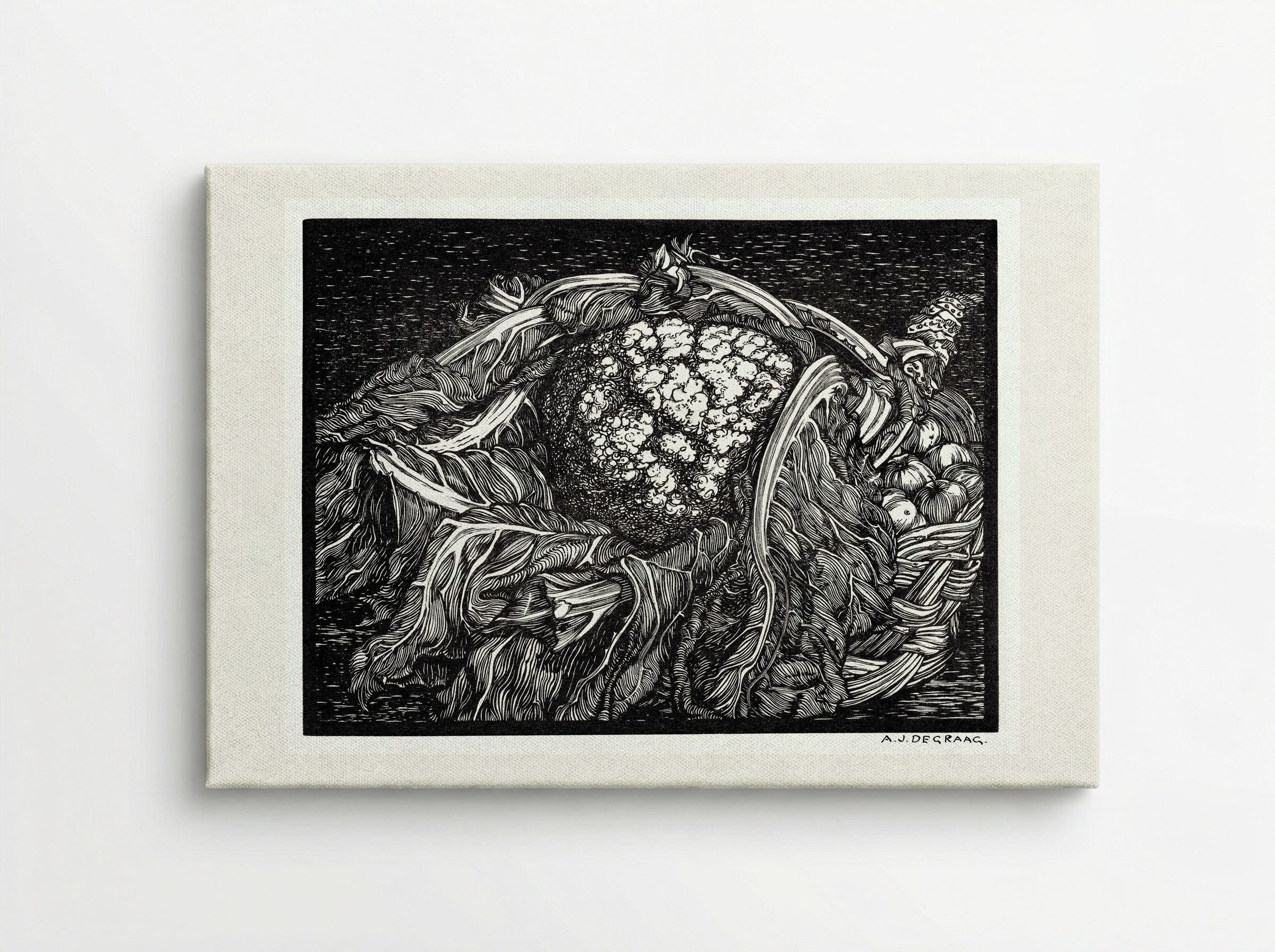 Cauliflower - Julie de Graag - Canvas