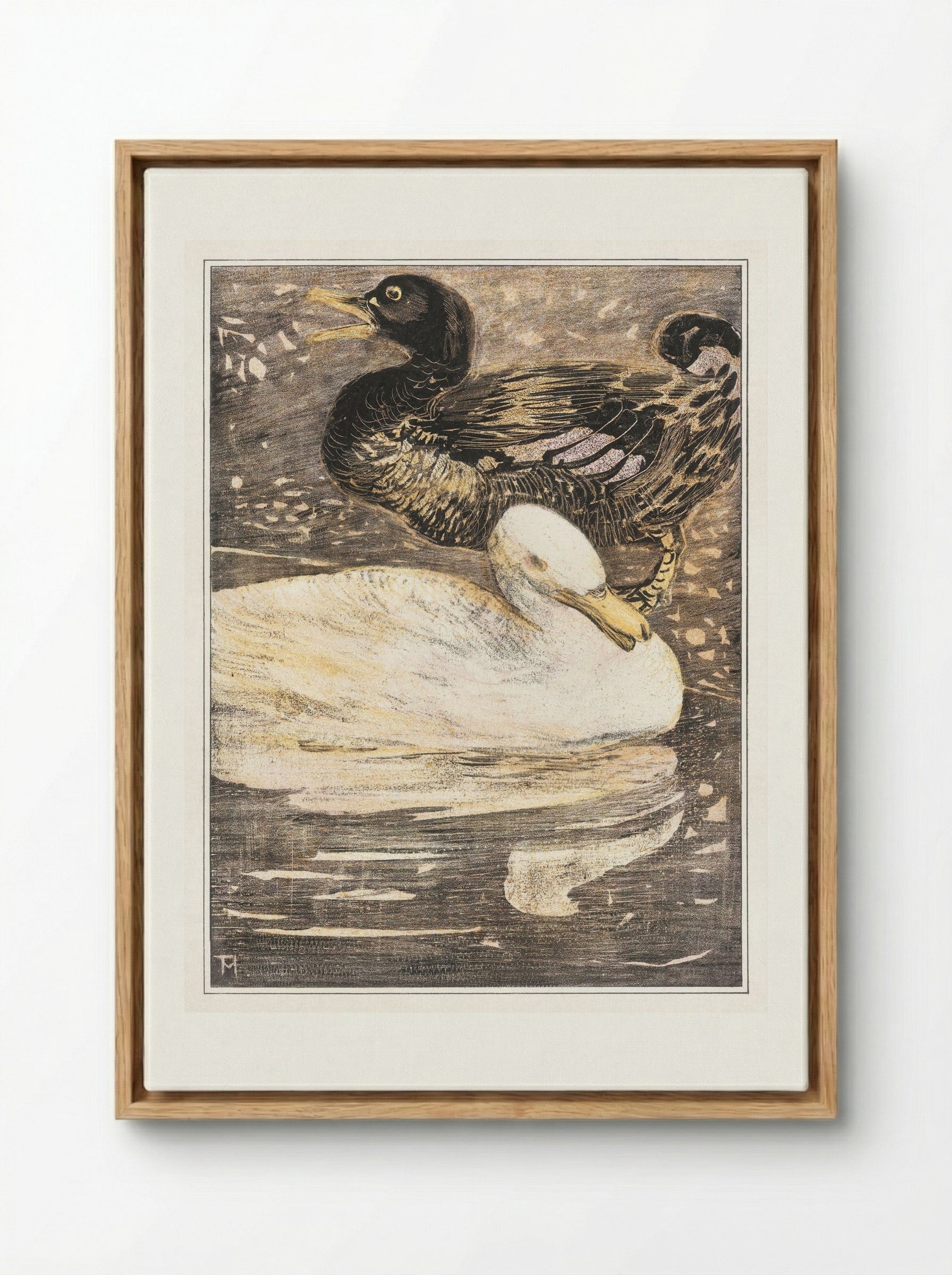 Two Ducks - Theo van Hoytema - Framed Canvas Wood