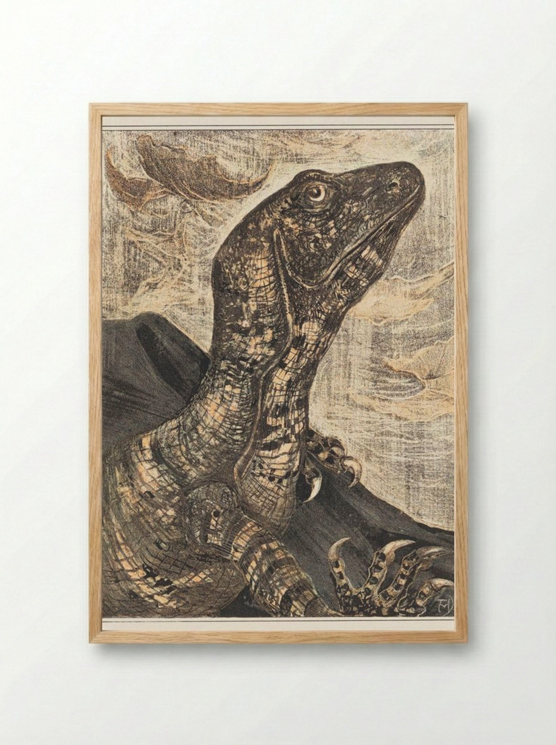 Leguaan (Monitor Lizard) - Theo van Hoytema - Framed Print Wood