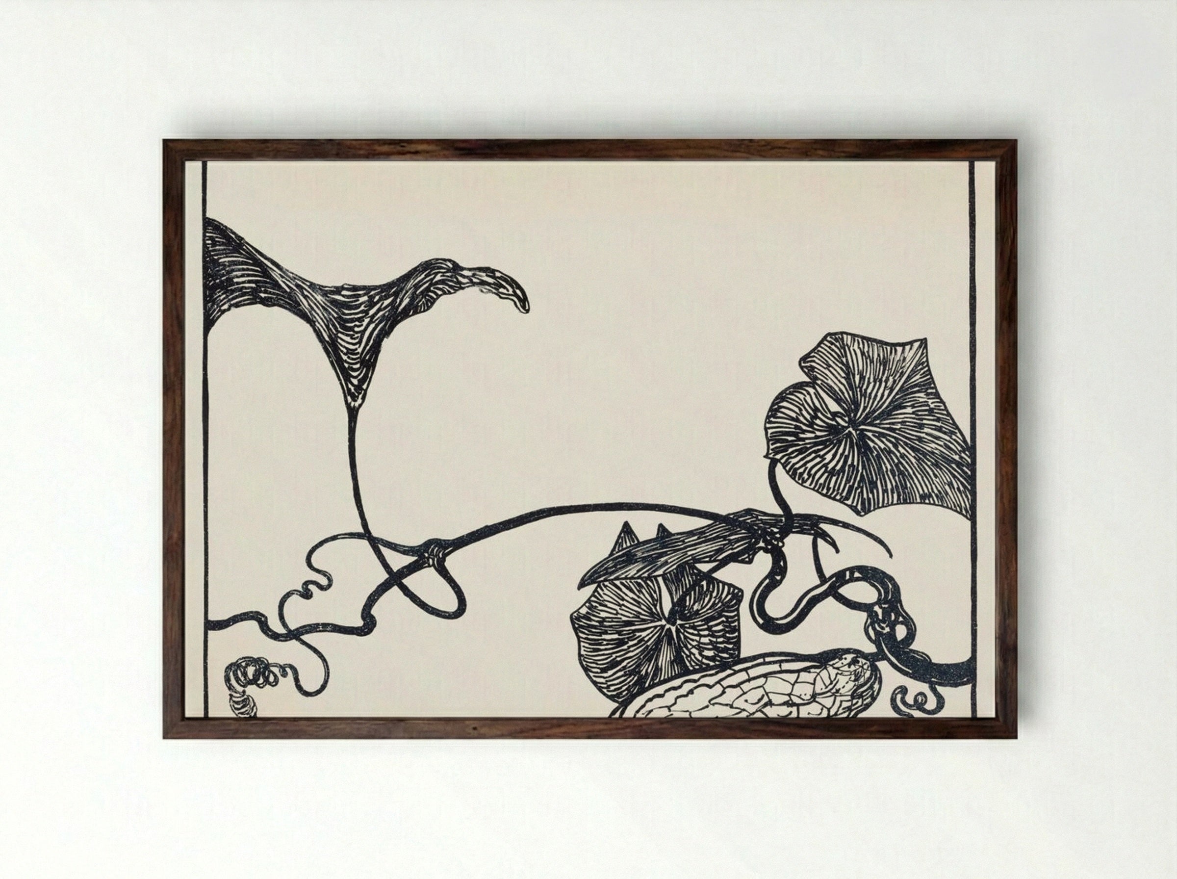 Augurkenplant (Cucumber Plant) - Theo van Hoytema - Framed Print Dark Wood