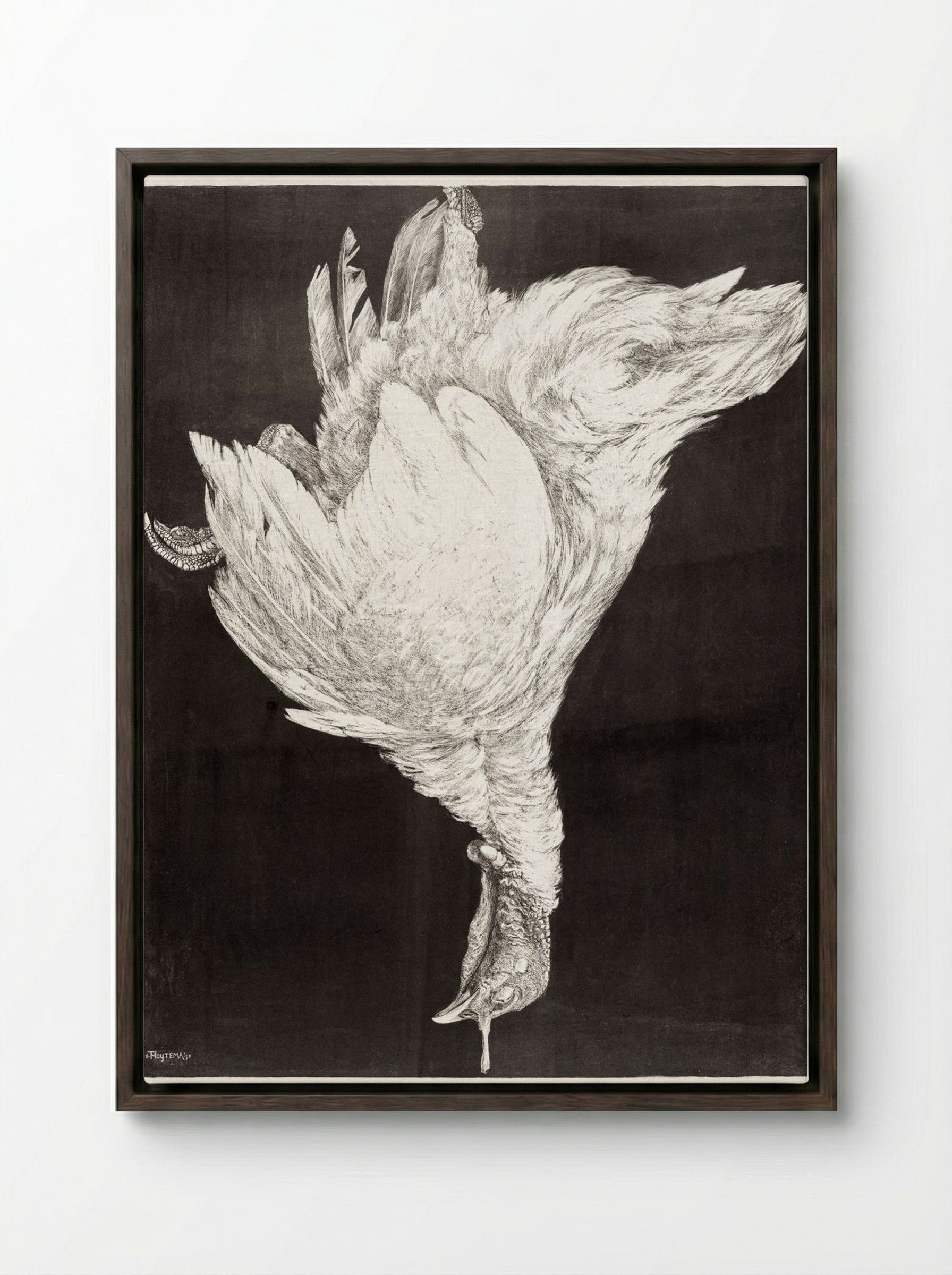 Dead Turkey - Theo van Hoytema - Framed Canvas Dark Wood