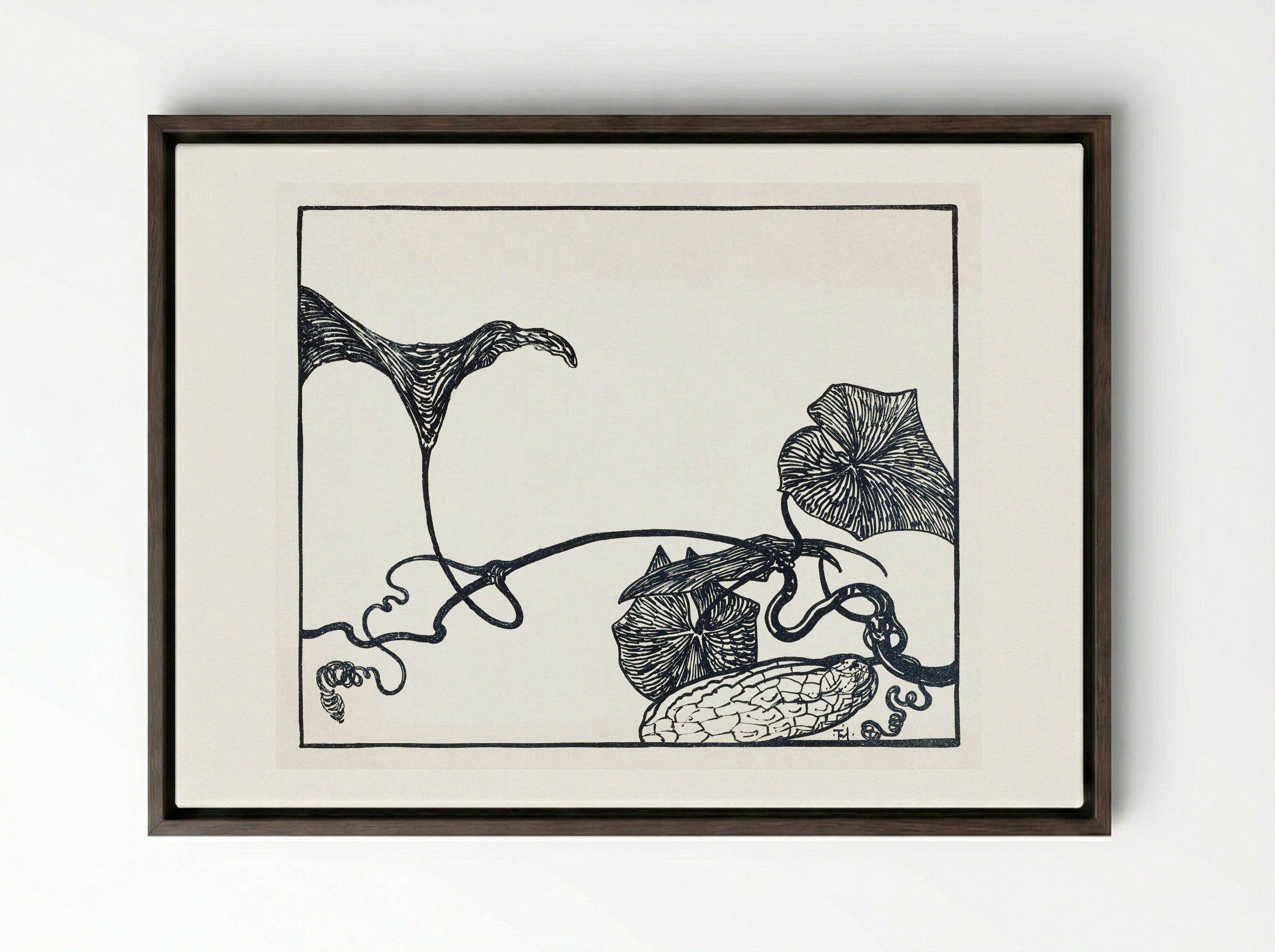 Augurkenplant (Gherkin Plant) - Theo van Hoytema - Framed Canvas Dark Wood