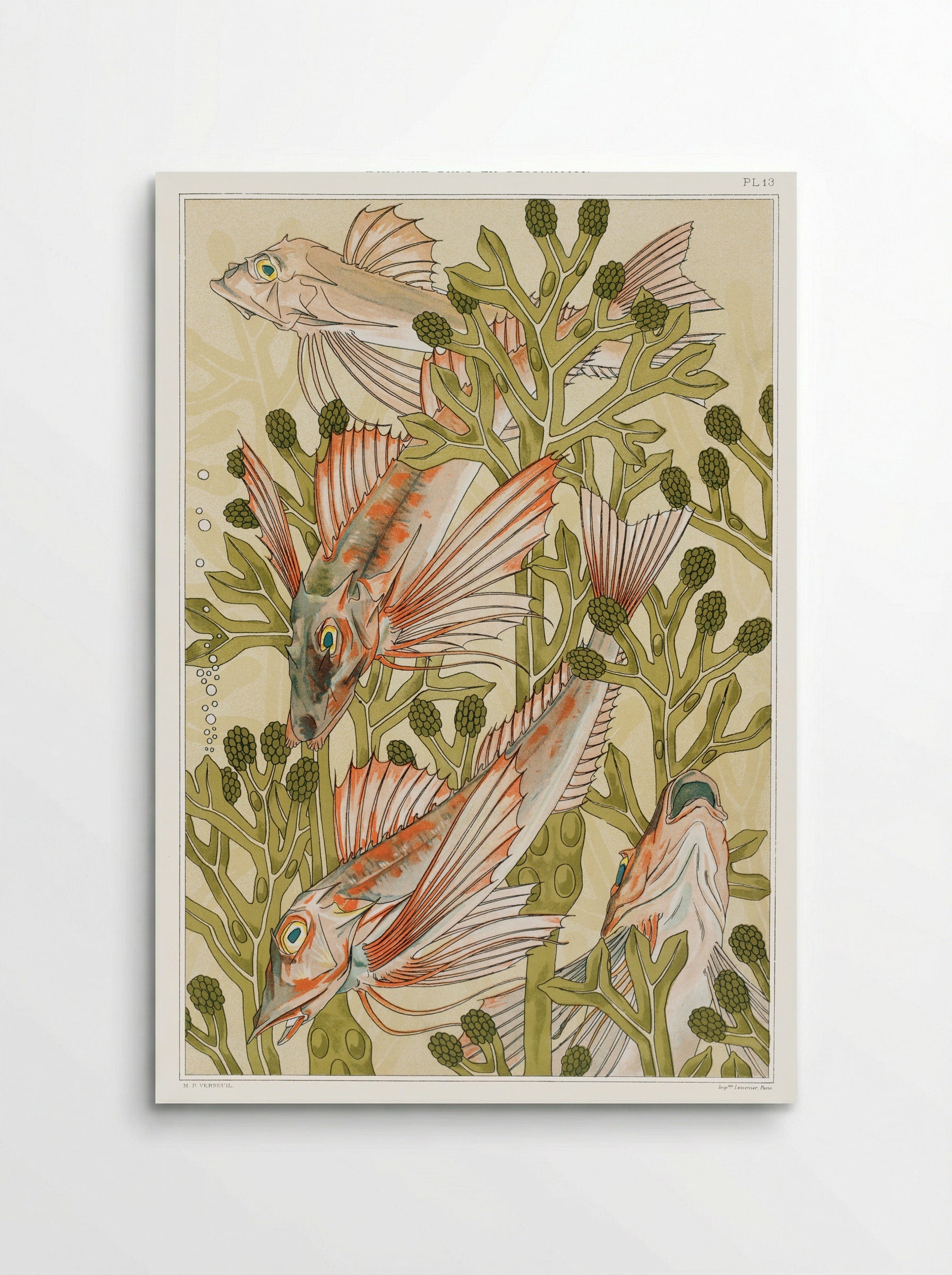 Rouget (From L'animal dans la décoration) - Maurice Pillard Verneuil - Poster