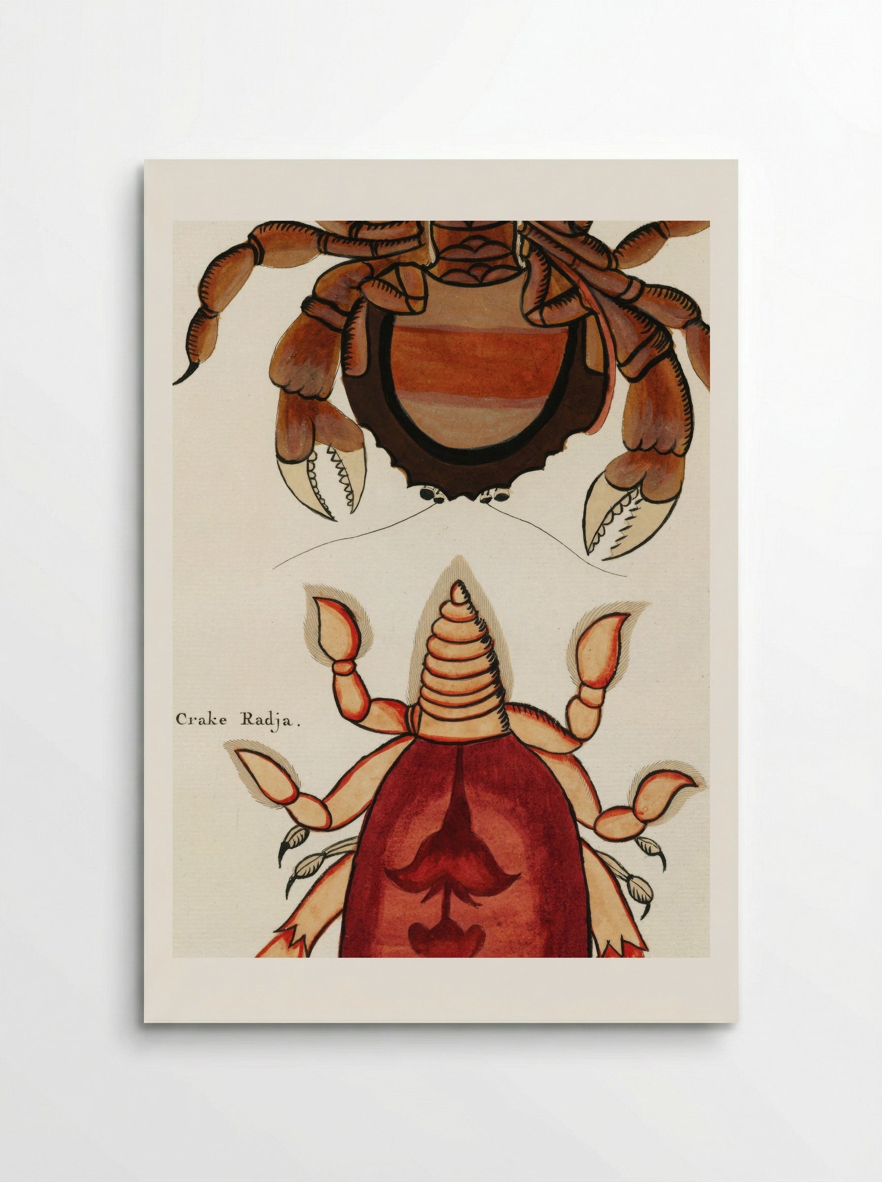 Colourful and Surreal Illustrations of Crabs - Louis Renard - Poster