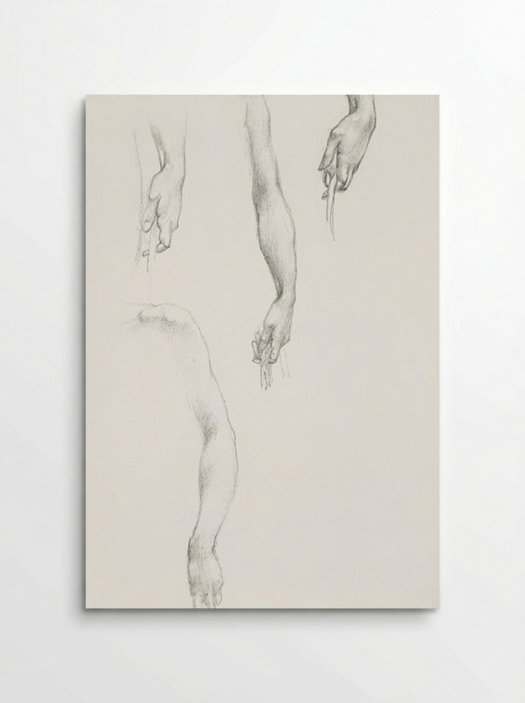Studies of Arms and Hands - Edward Burne-Jones - Poster