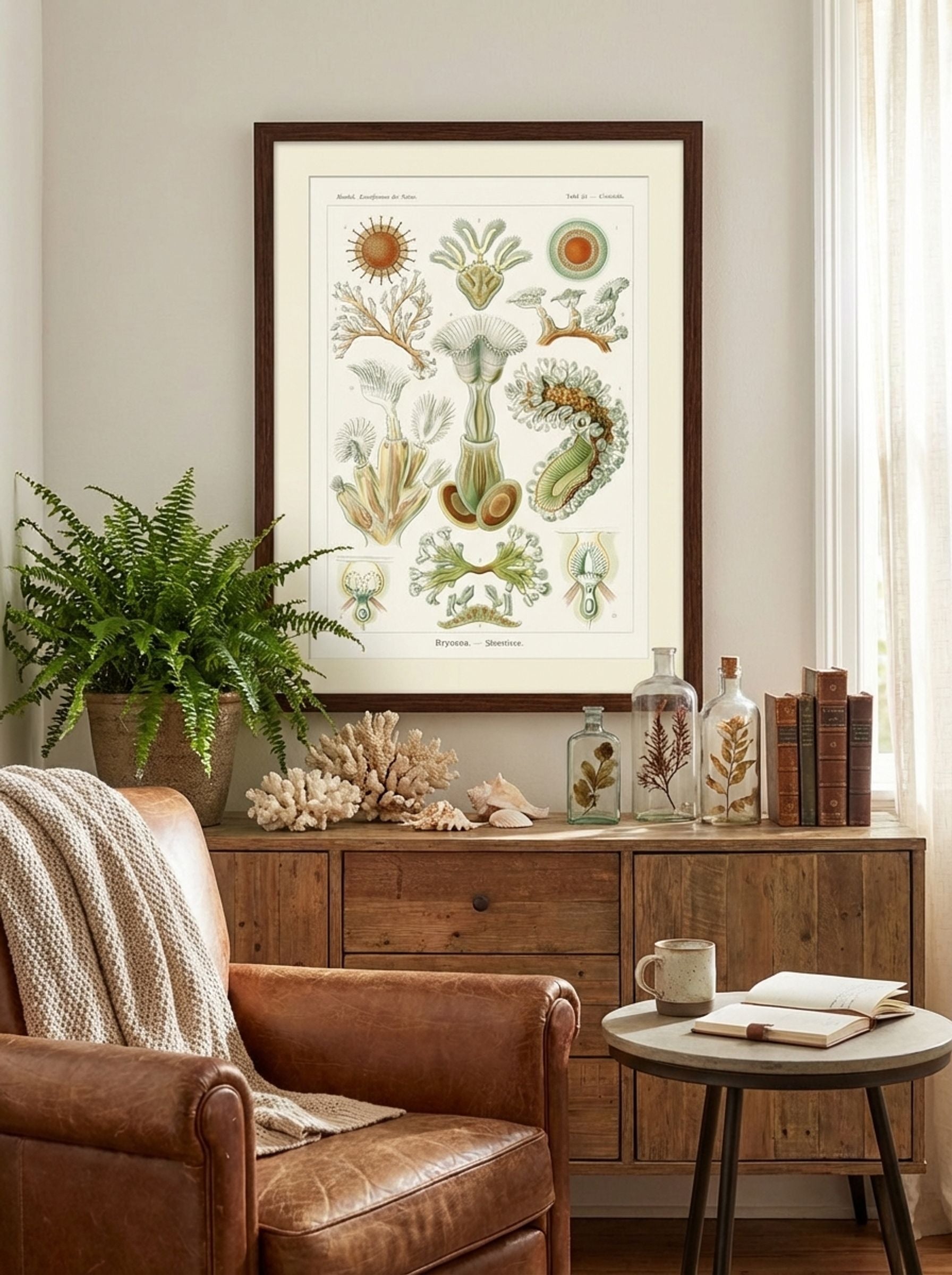 Bryozoa-Moostiere (1904) - Ernst Haeckel - Lifestyle