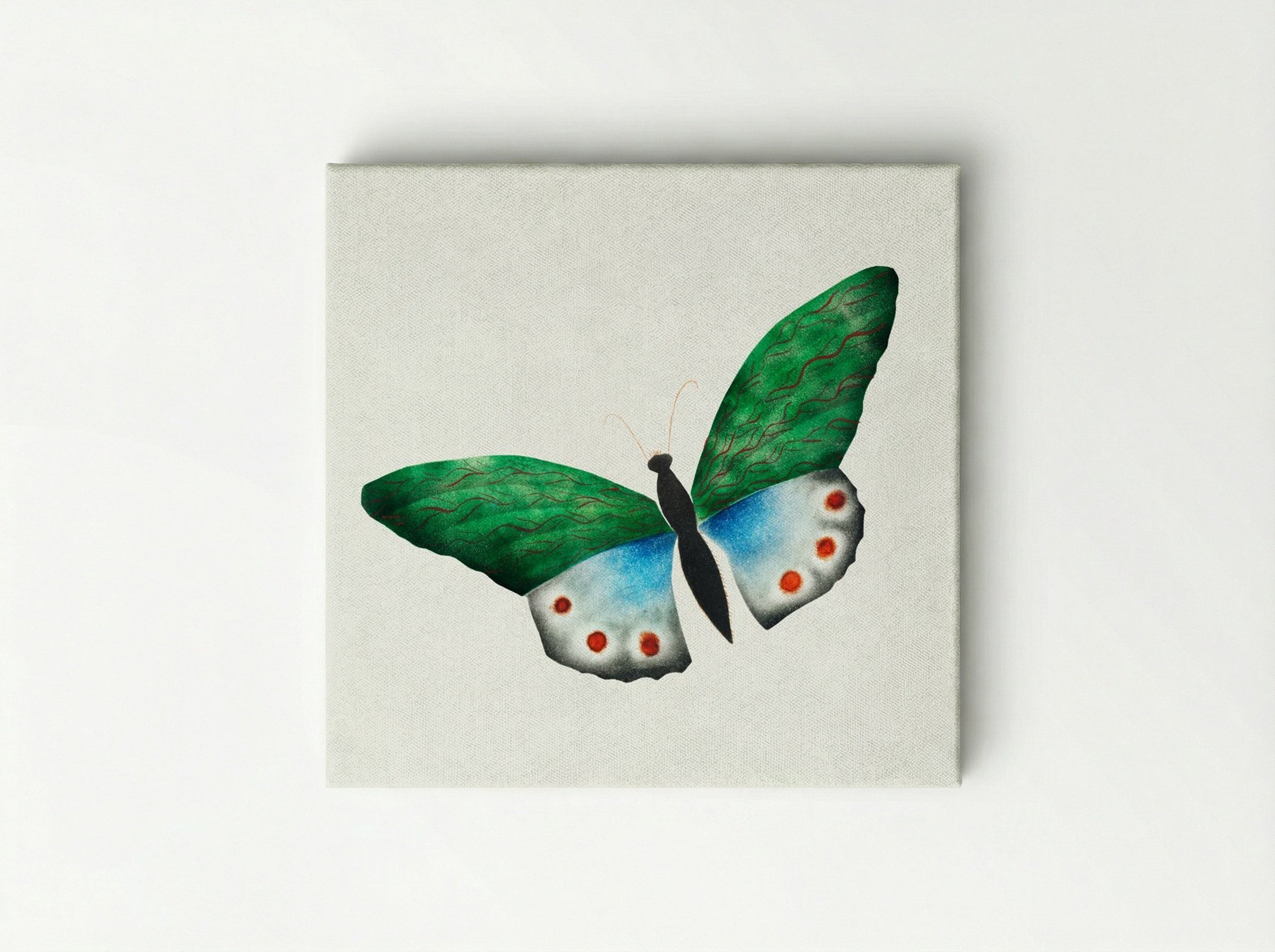Butterfly - Mary Altha Nims - Canvas