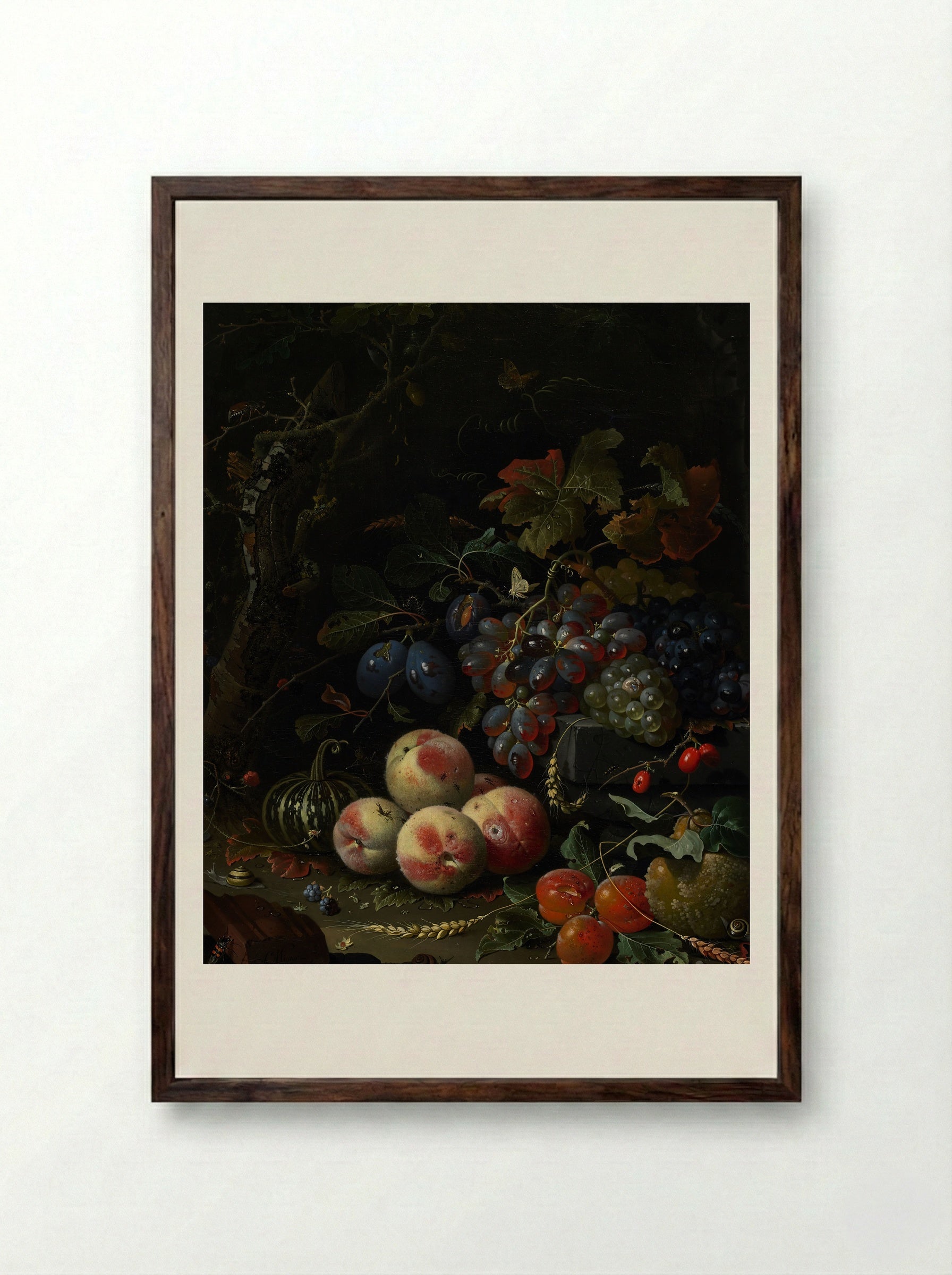 Still Life with Fruit, Foliage, and Insects - Abraham Mignon - Framed Print Dark Wood