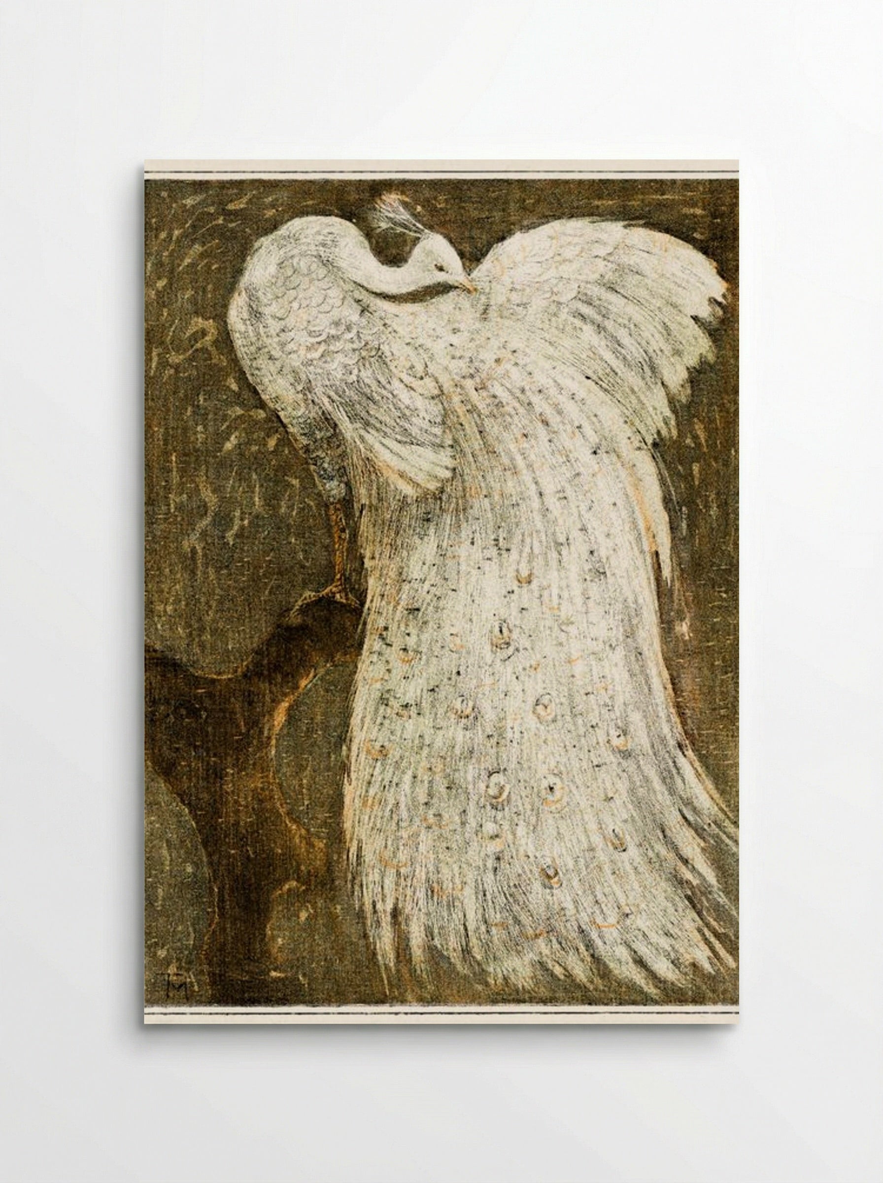 White Peacock on a Branch - Theo van Hoytema - Poster