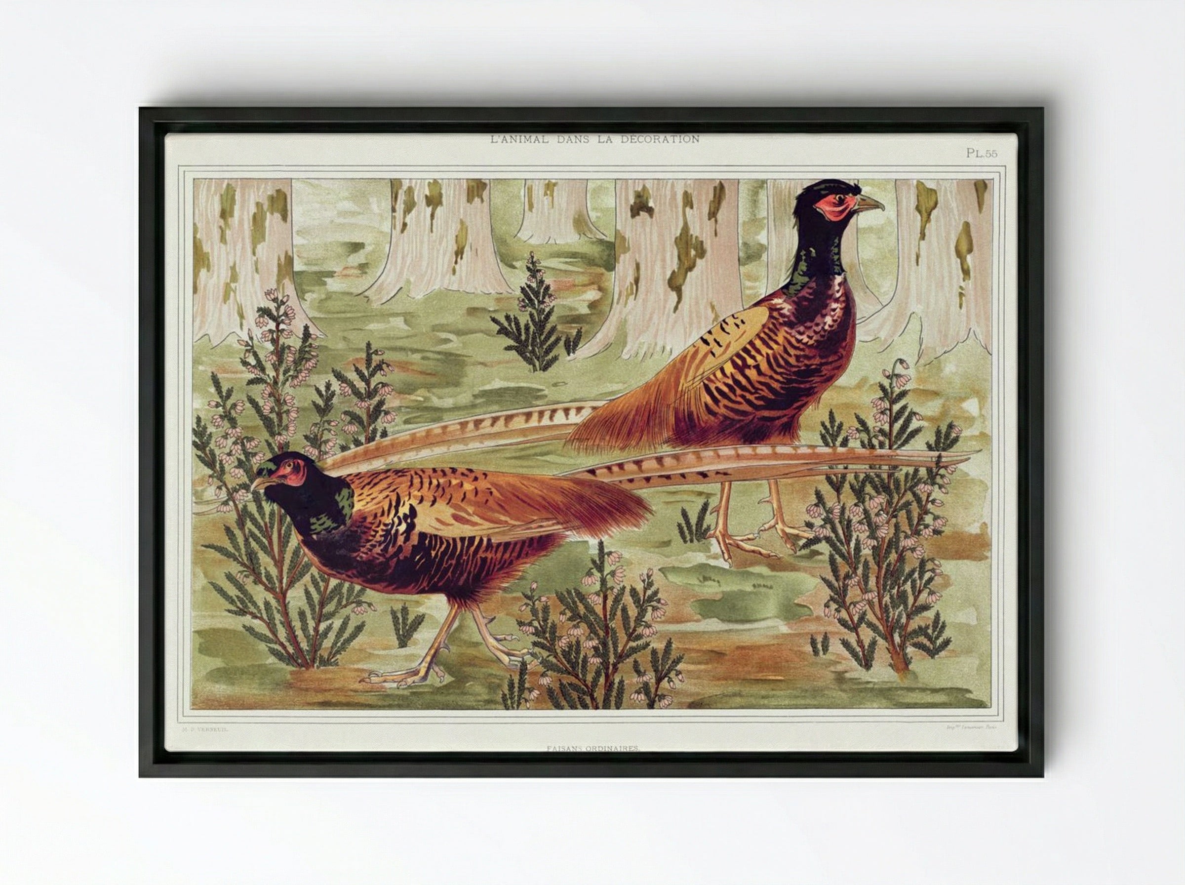 Faisans Ordinaires (Common Pheasants) - Maurice Pillard Verneuil - Framed Canvas Black