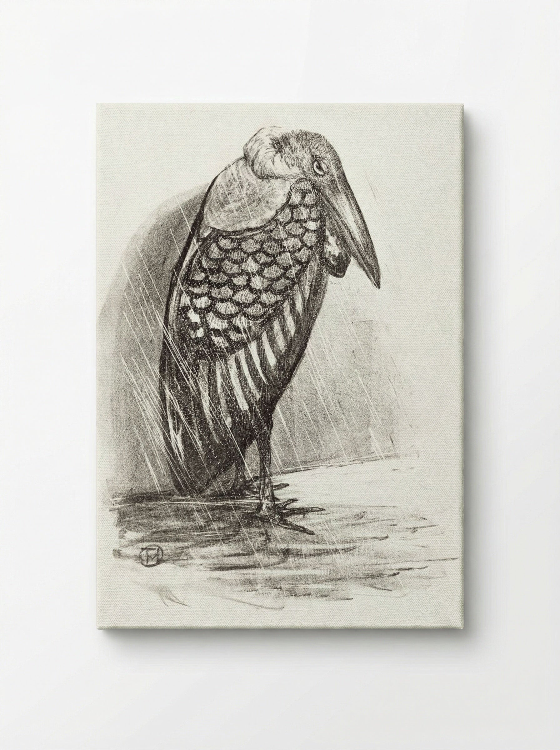 Marabou in the Rain - Theo van Hoytema - Canvas