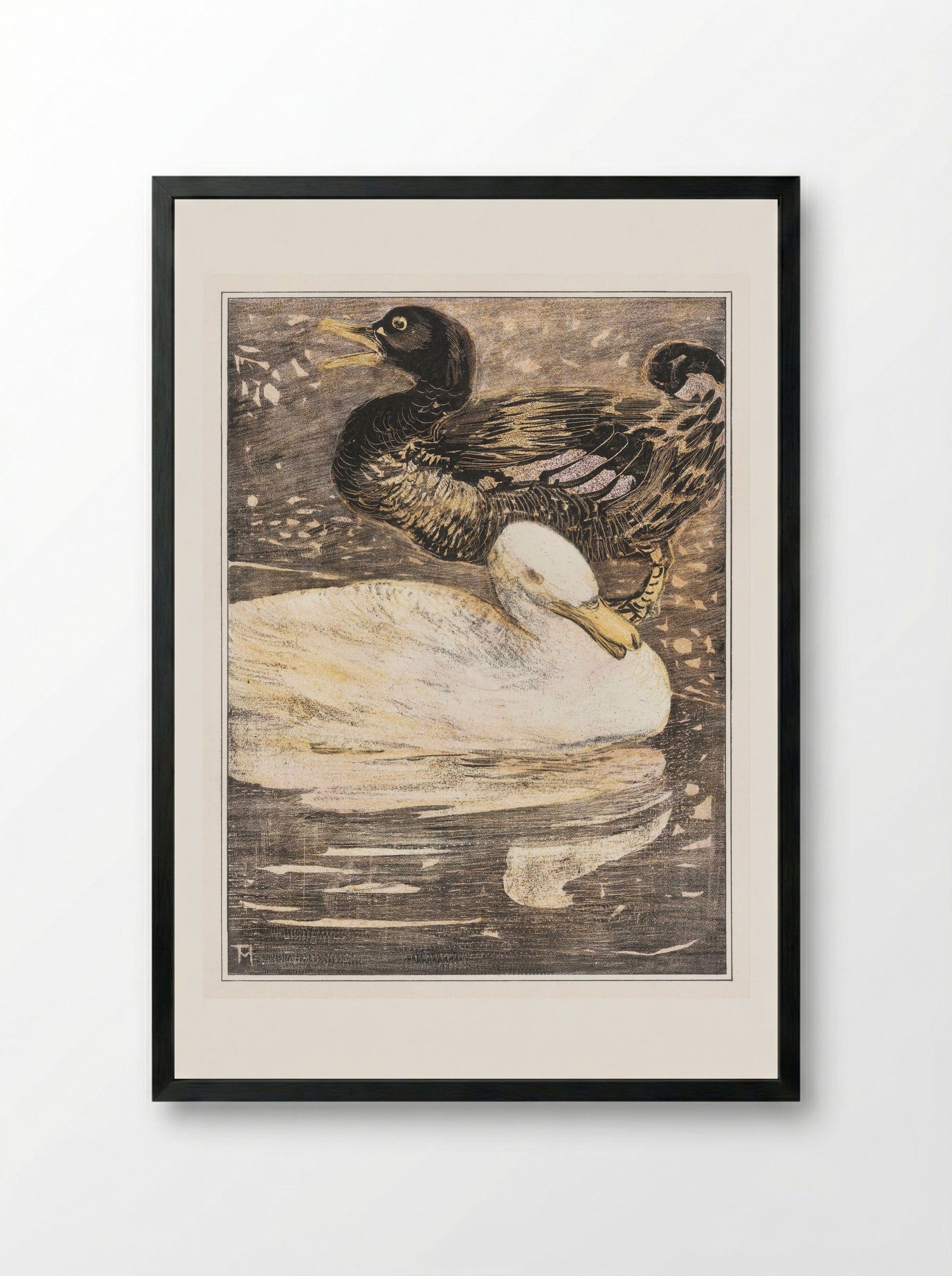 Two Ducks - Theo van Hoytema - Framed Print Black