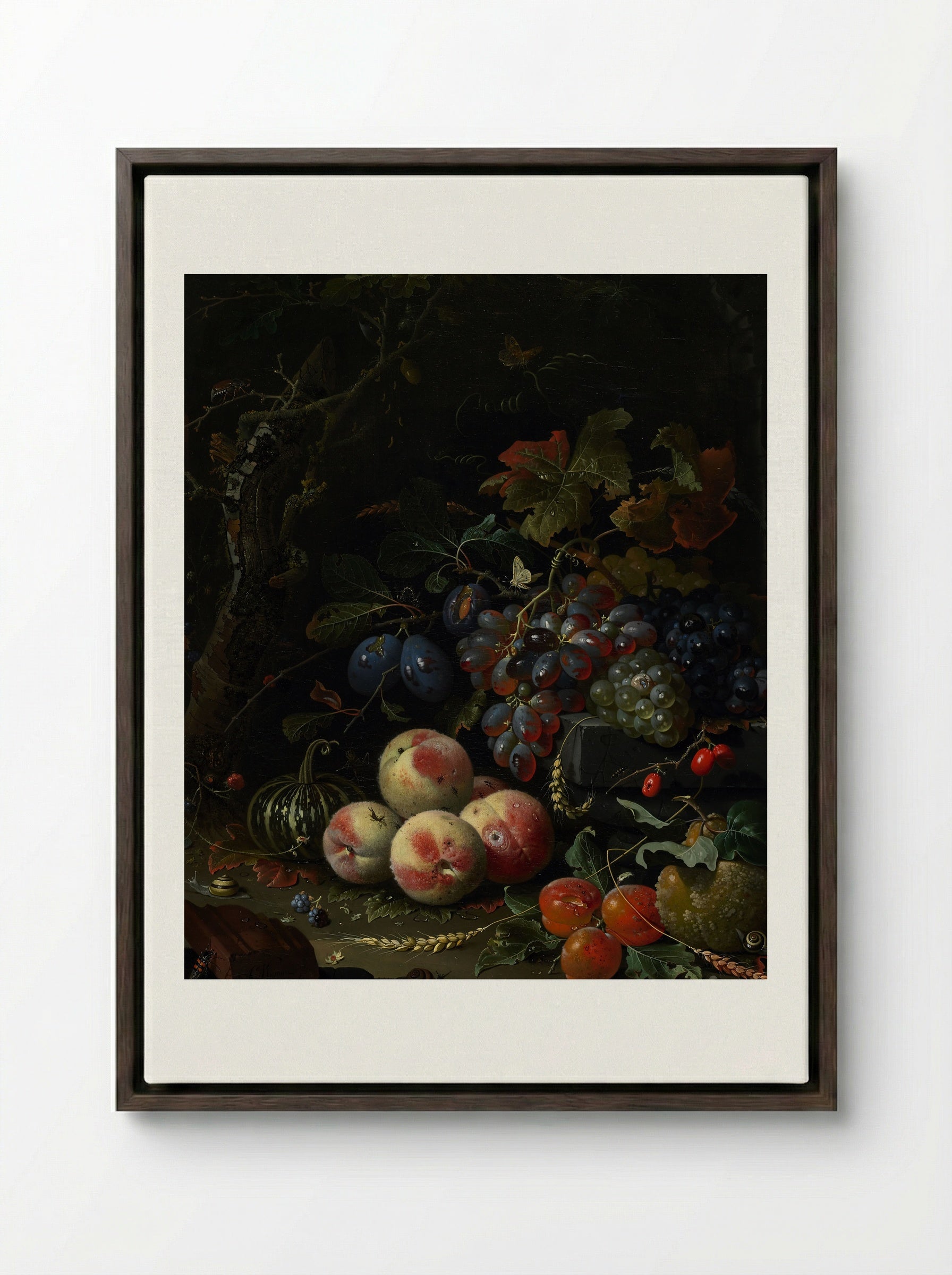 Still Life with Fruit, Foliage, and Insects - Abraham Mignon - Framed Canvas Dark Wood