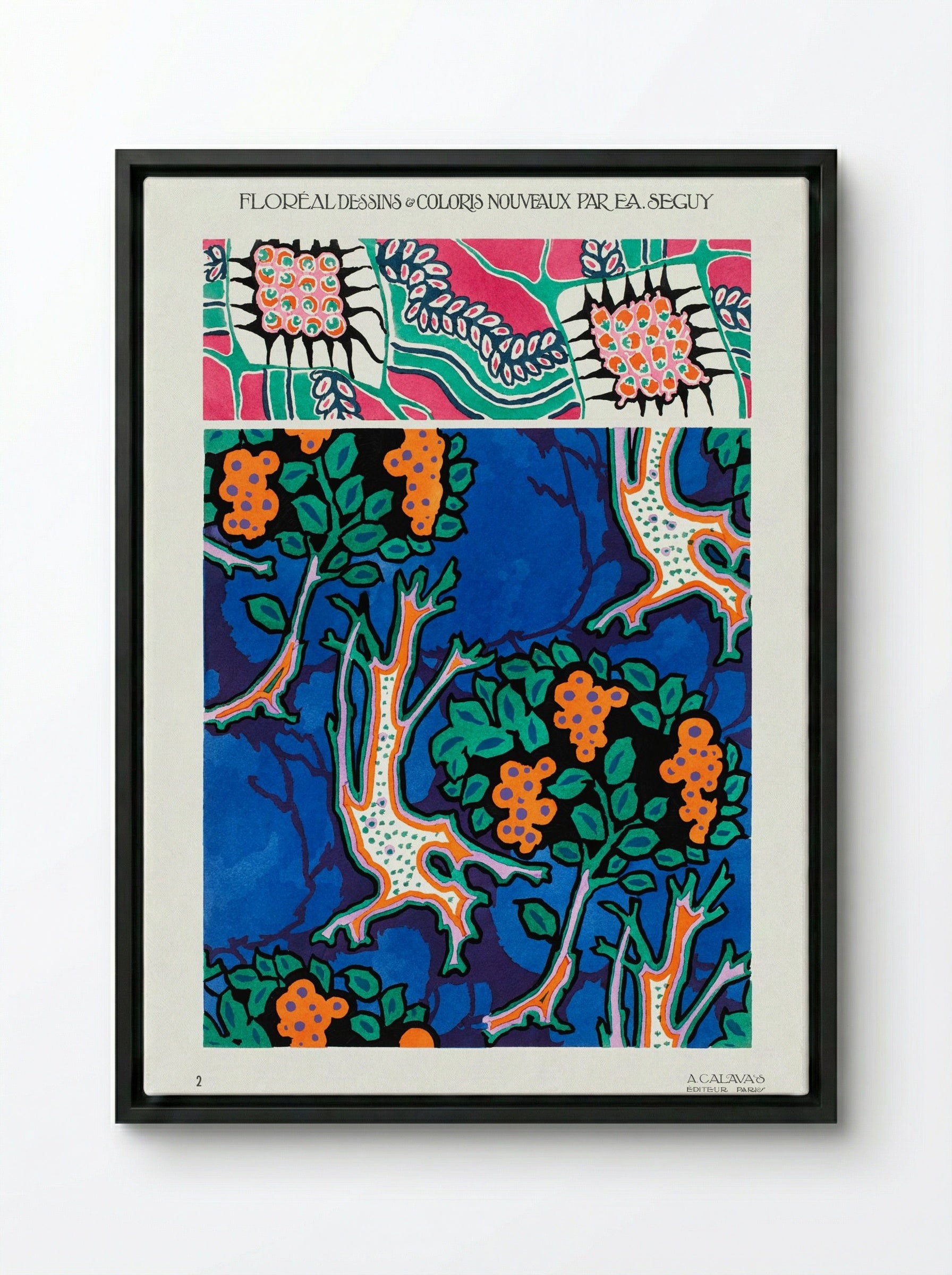 Floral Designs and Colour Schemes (Plate 4) - Émile-Allain Séguy - Framed Canvas Black