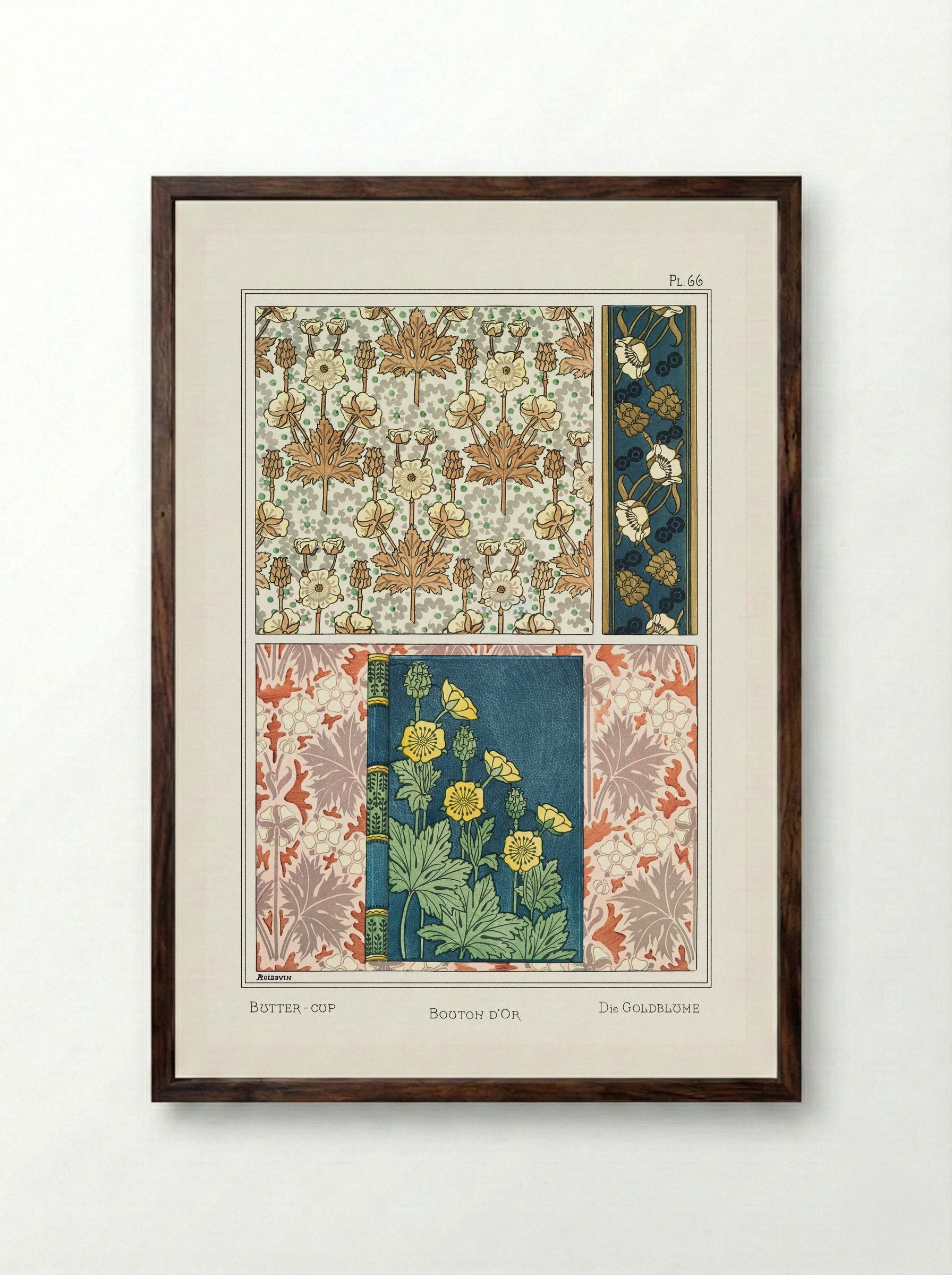 Bouton d'Or (Buttercup) from La Plante et ses Applications ornementales - Maurice Pillard Verneuil - Framed Print Dark Wood