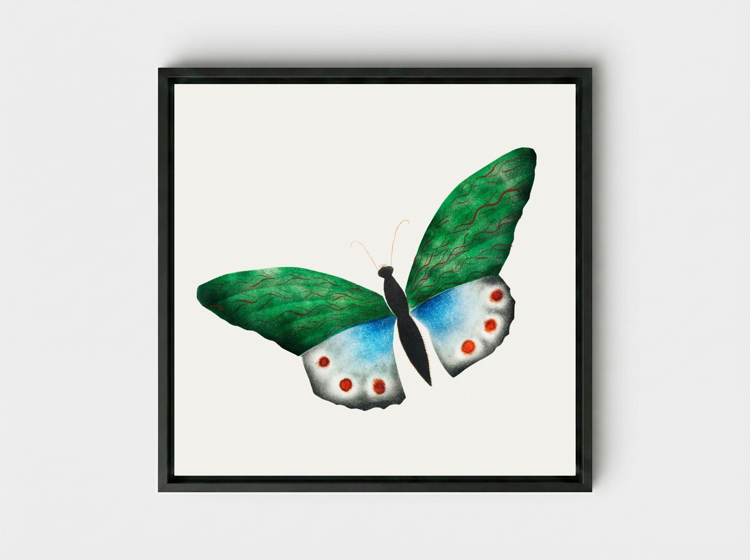Butterfly - Mary Altha Nims - Framed Canvas Black