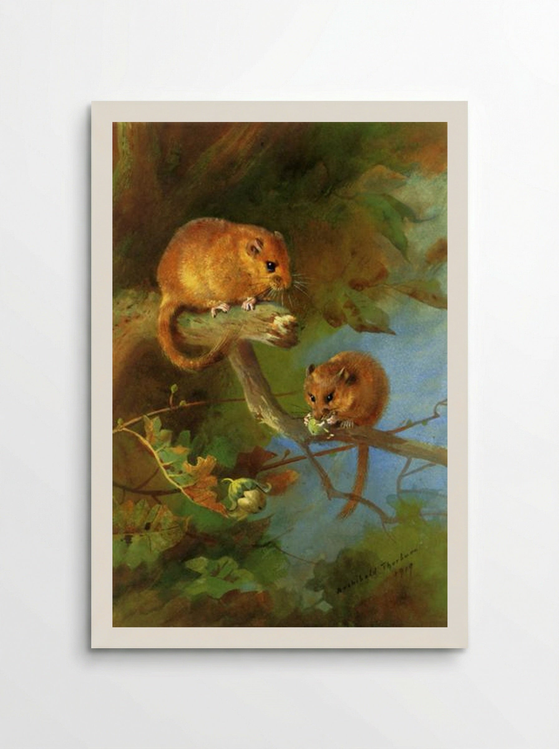 Dormice - Archibald Thorburn - Poster