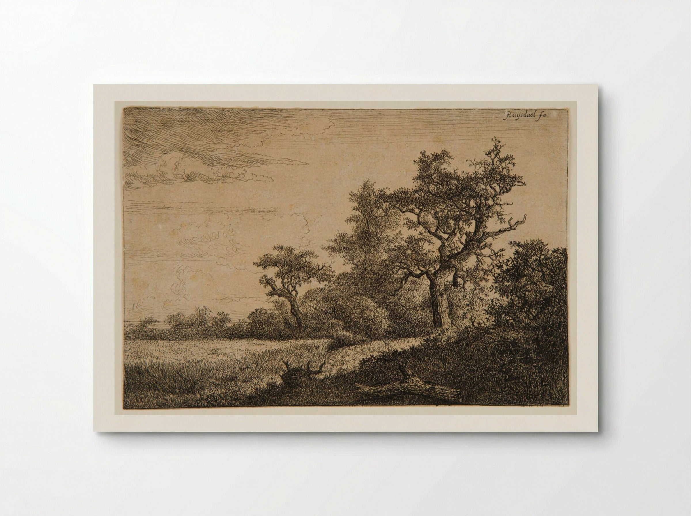 Grain Field at the Edge of a Wood - Jacob van Ruisdael - Poster