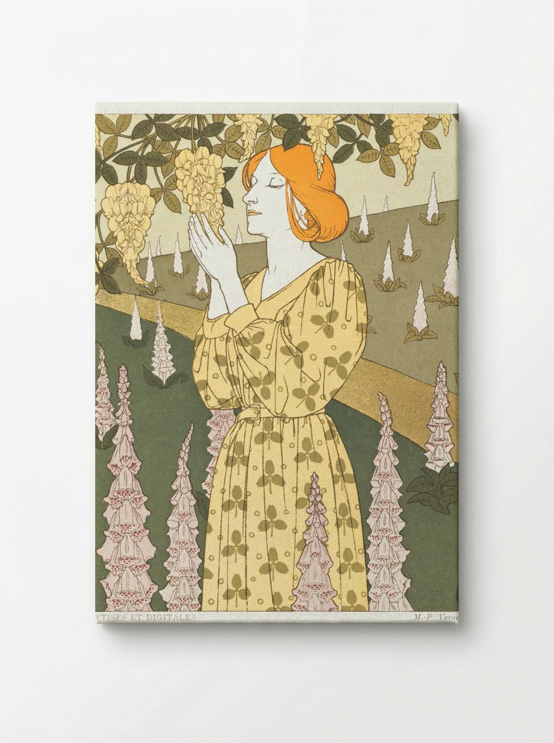 Cytises et Digitales - Maurice Pillard Verneuil - Canvas