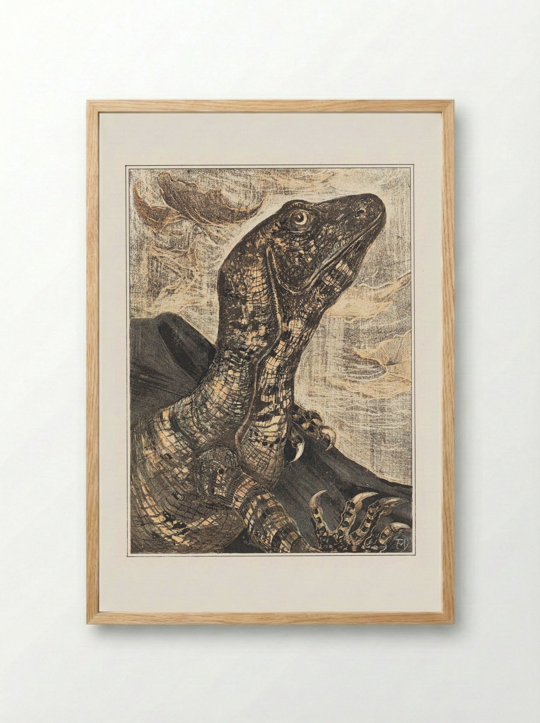 Leguaan (Monitor Lizard) - Theo van Hoytema - Framed Print Wood