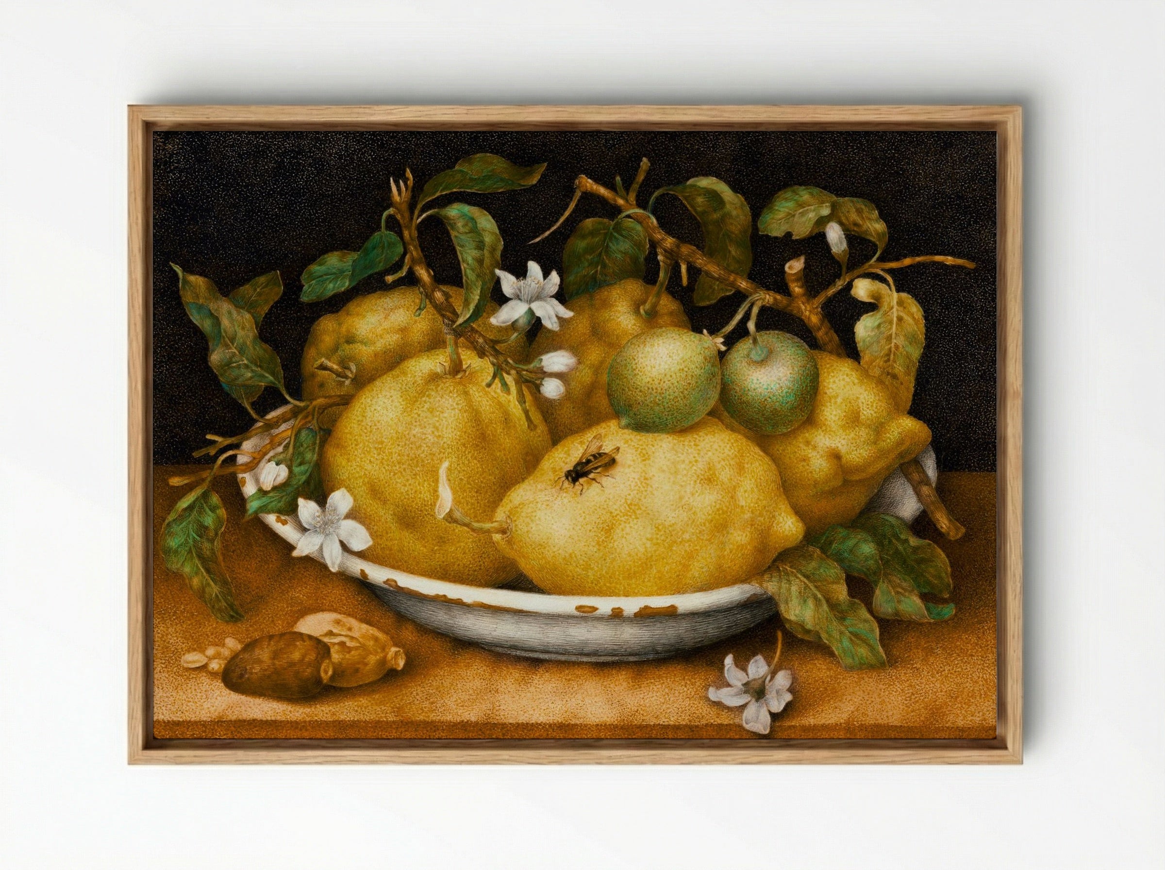 Still Life with Bowl of Citrons - Giovanna Garzoni - Framed Canvas Wood