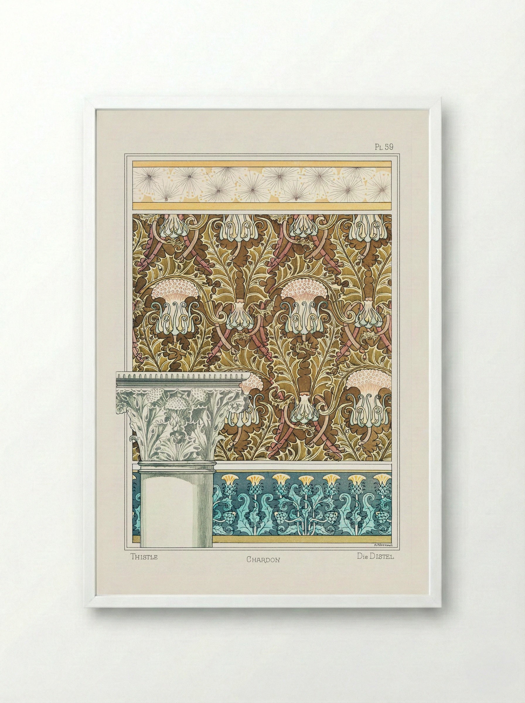 Chardon (Thistle) from La Plante et ses Applications ornementales - Maurice Pillard Verneuil - Framed Print White