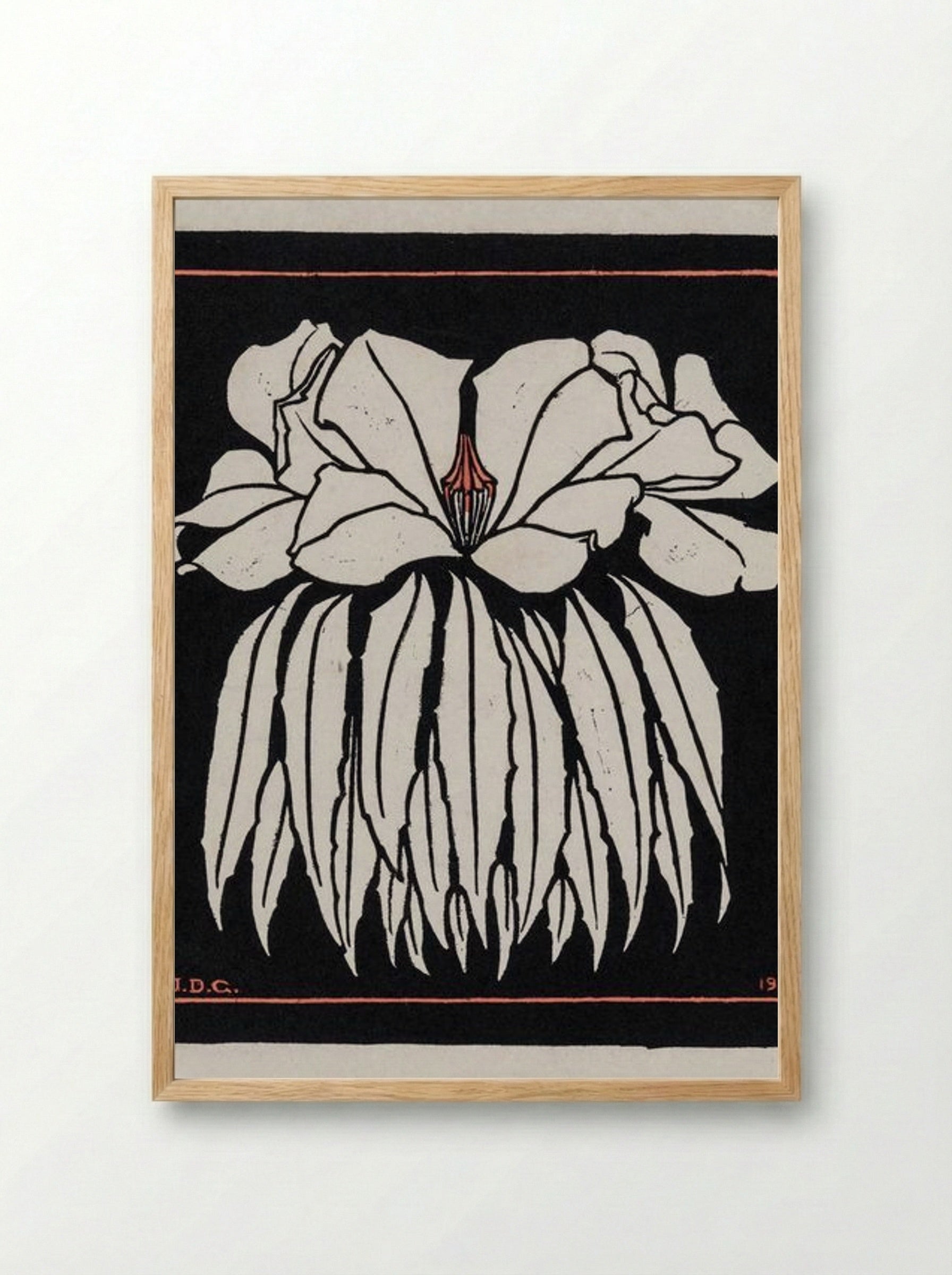 Godetia - Julie de Graag - Framed Print Wood