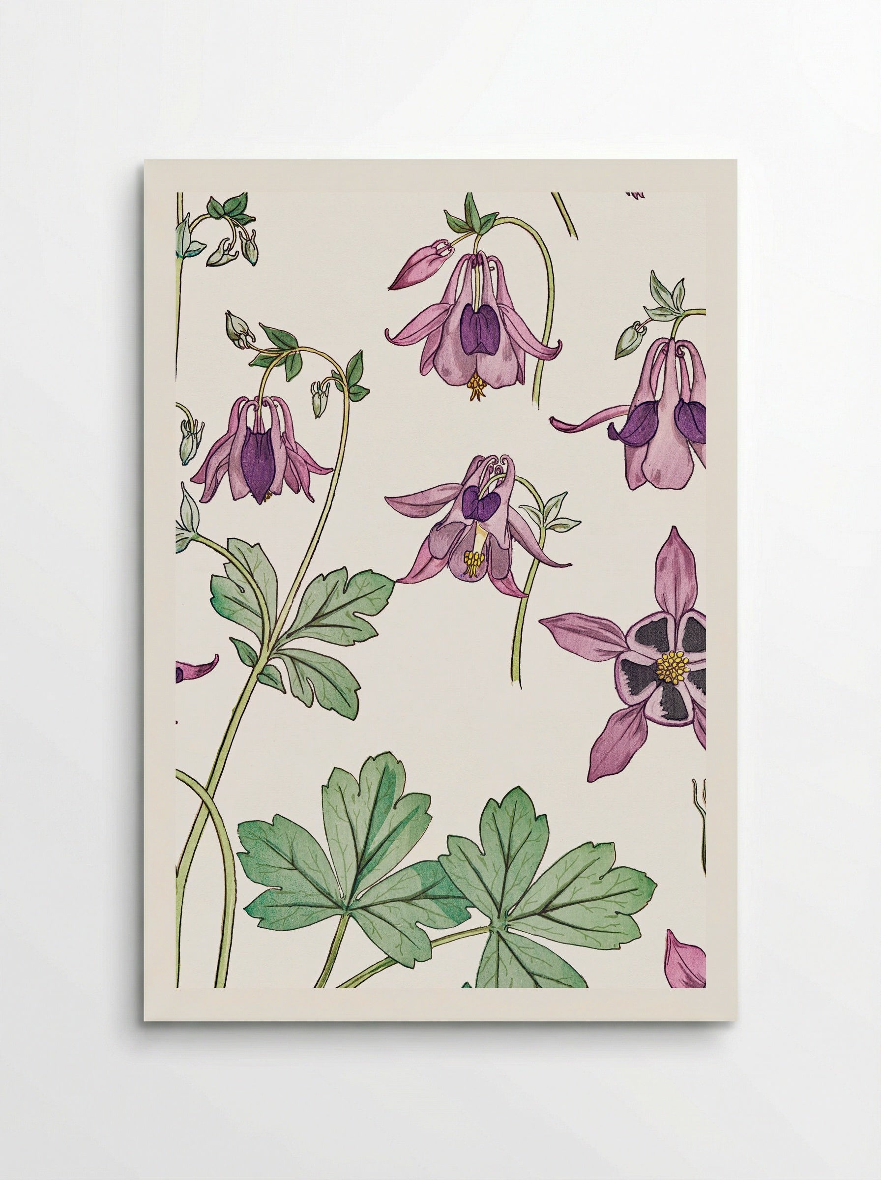 Ancolie (Columbine) - Maurice Pillard Verneuil - Poster