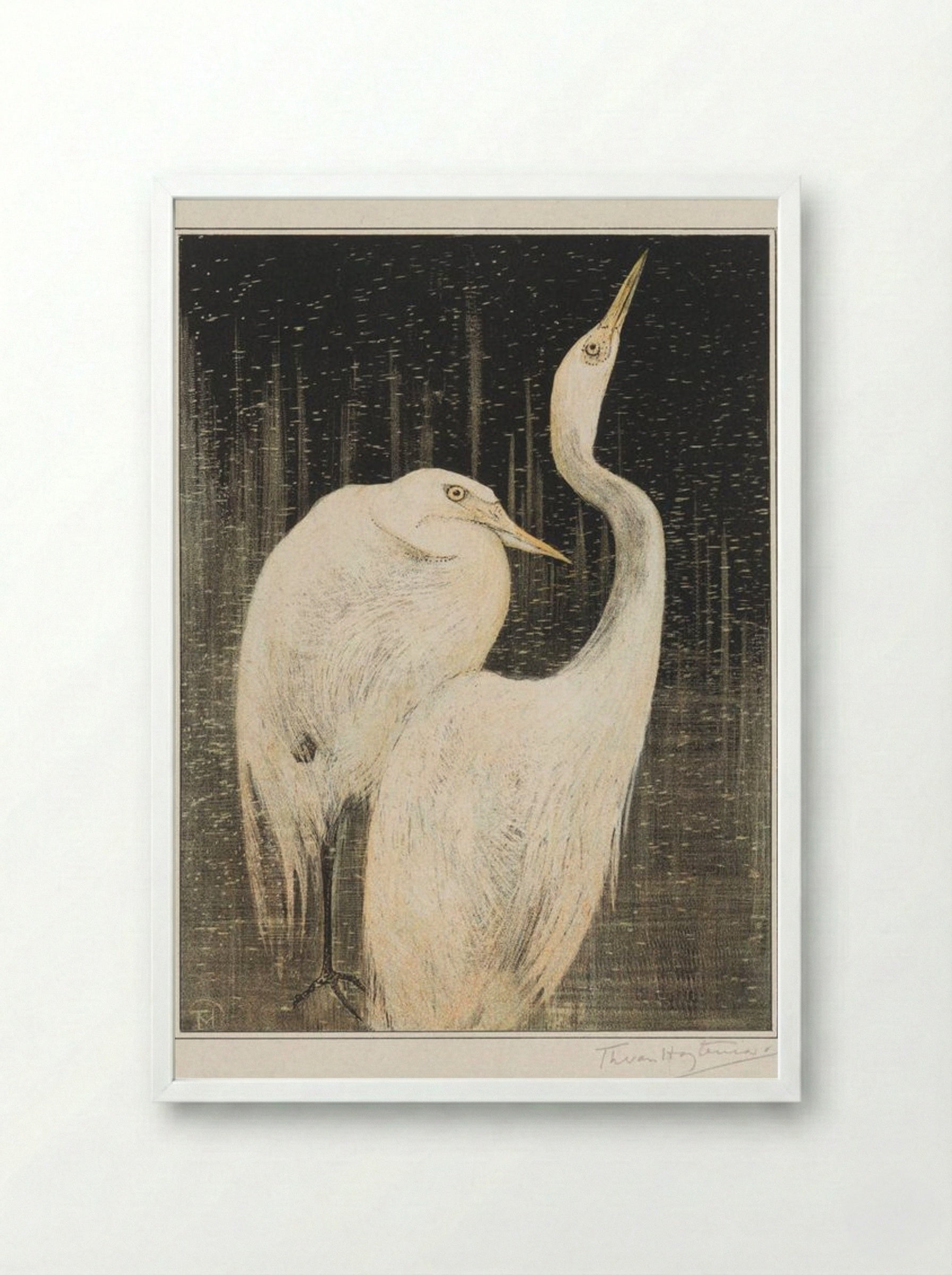 Two Egrets - Theo van Hoytema - Framed Print White