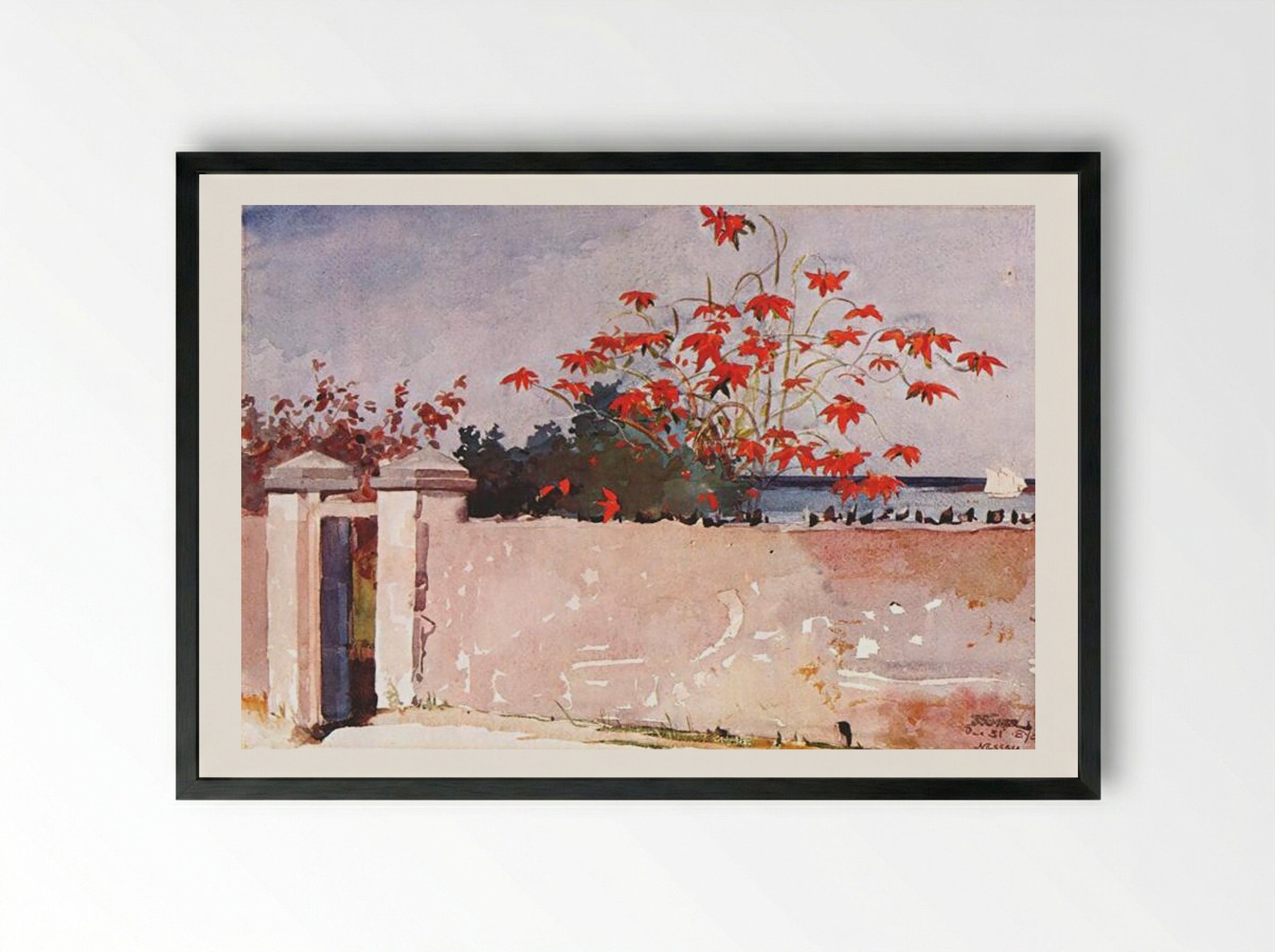 A Wall, Nassau - Winslow Homer - Framed Print Black