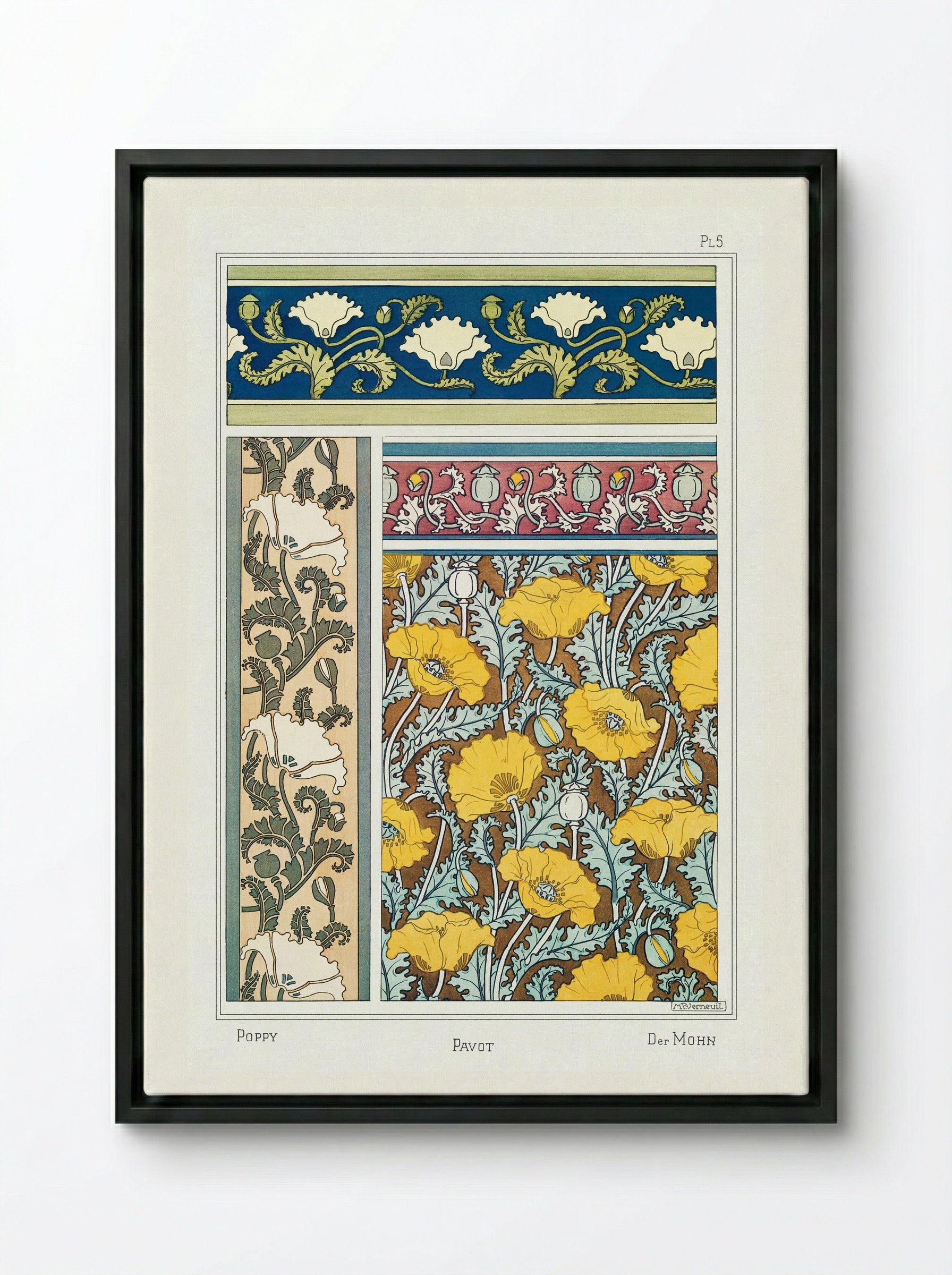 Pavot (Poppy) from La Plante et ses Applications ornementales - Maurice Pillard Verneuil - Framed Canvas Black