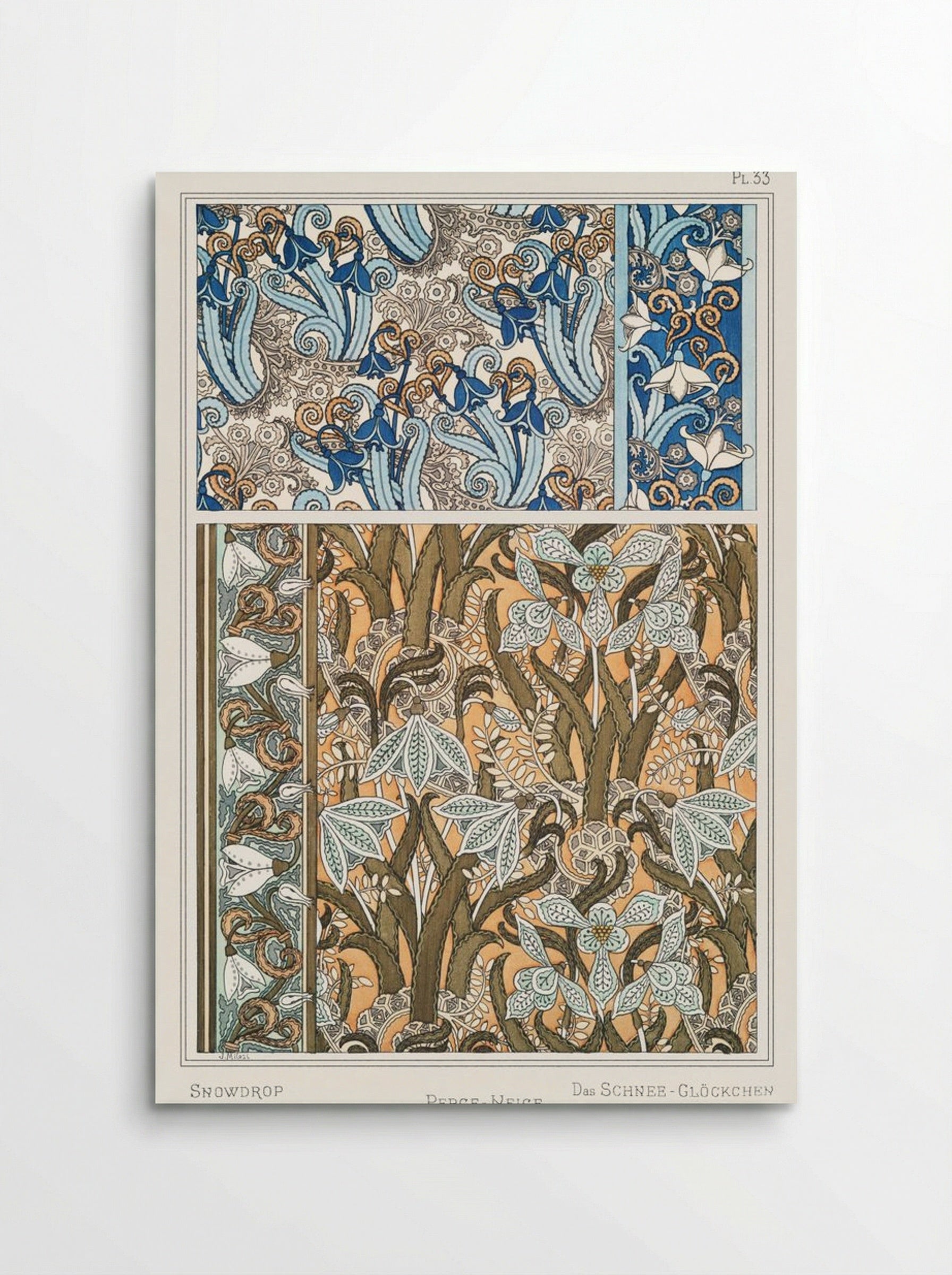 Perce-Neige (Snowdrops) from La Plante et ses Applications ornementales - Maurice Pillard Verneuil - Poster