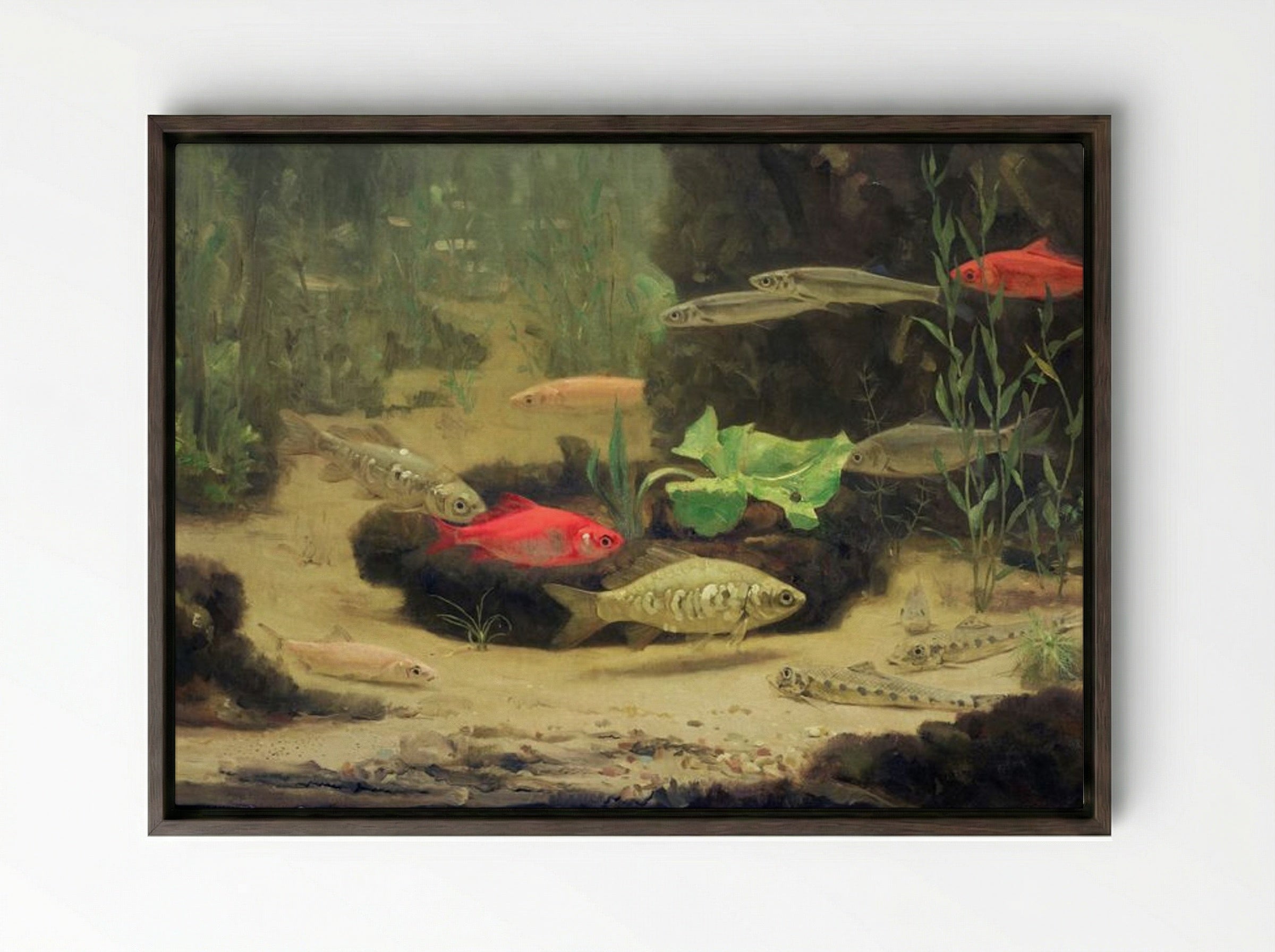 Gold and Silverfish in an Aquarium - Gerrit Willem Dijsselhof - Framed Canvas Dark Wood