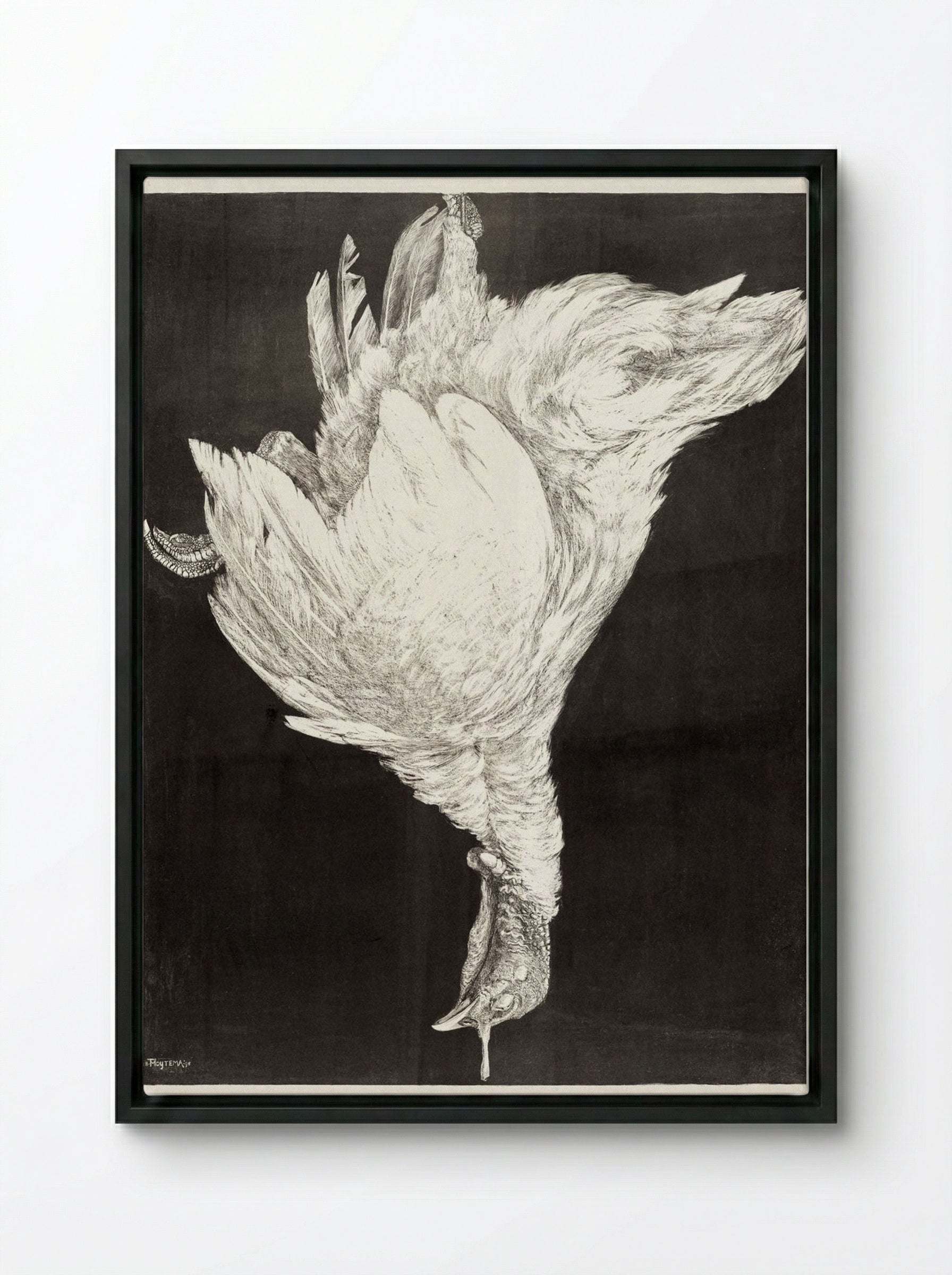 Dead Turkey - Theo van Hoytema - Framed Canvas Black