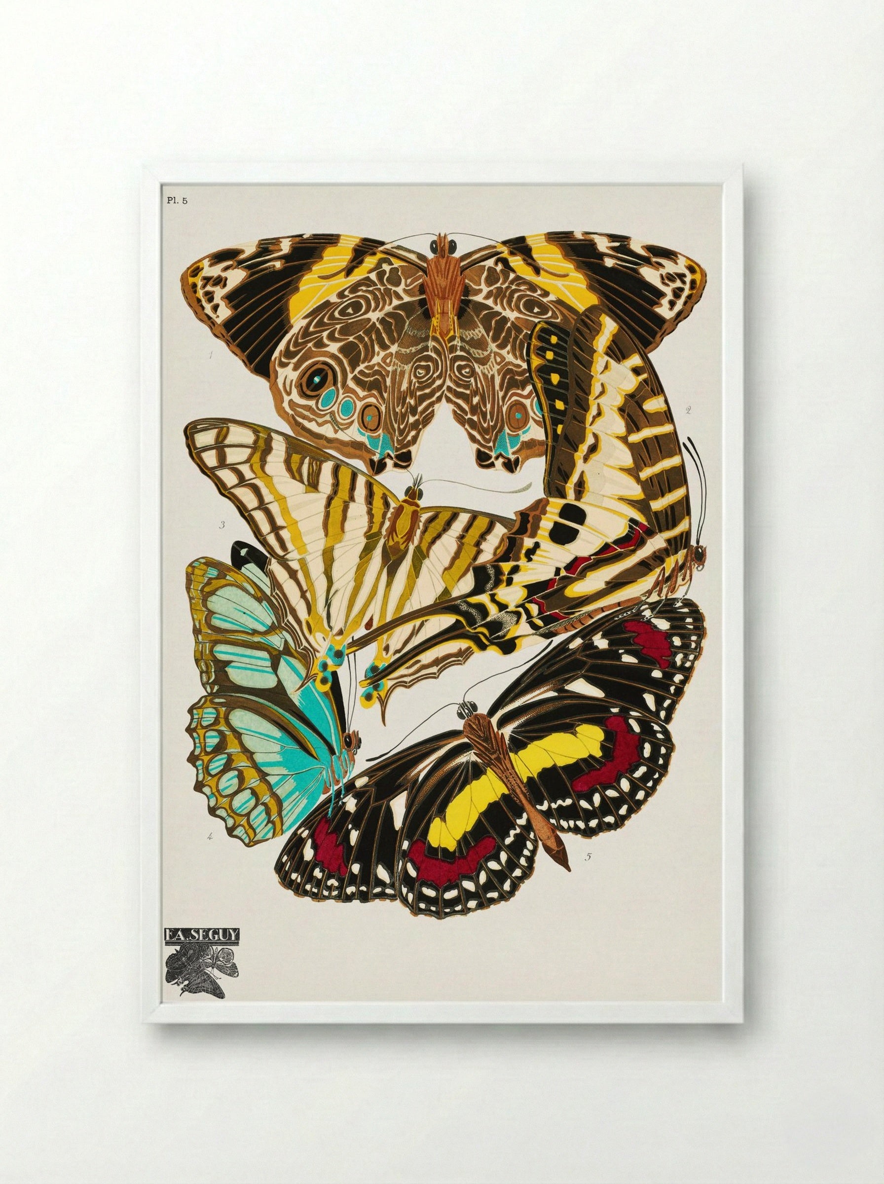Butterflies, Plate 5 - Émile-Allain Séguy - Framed Print White